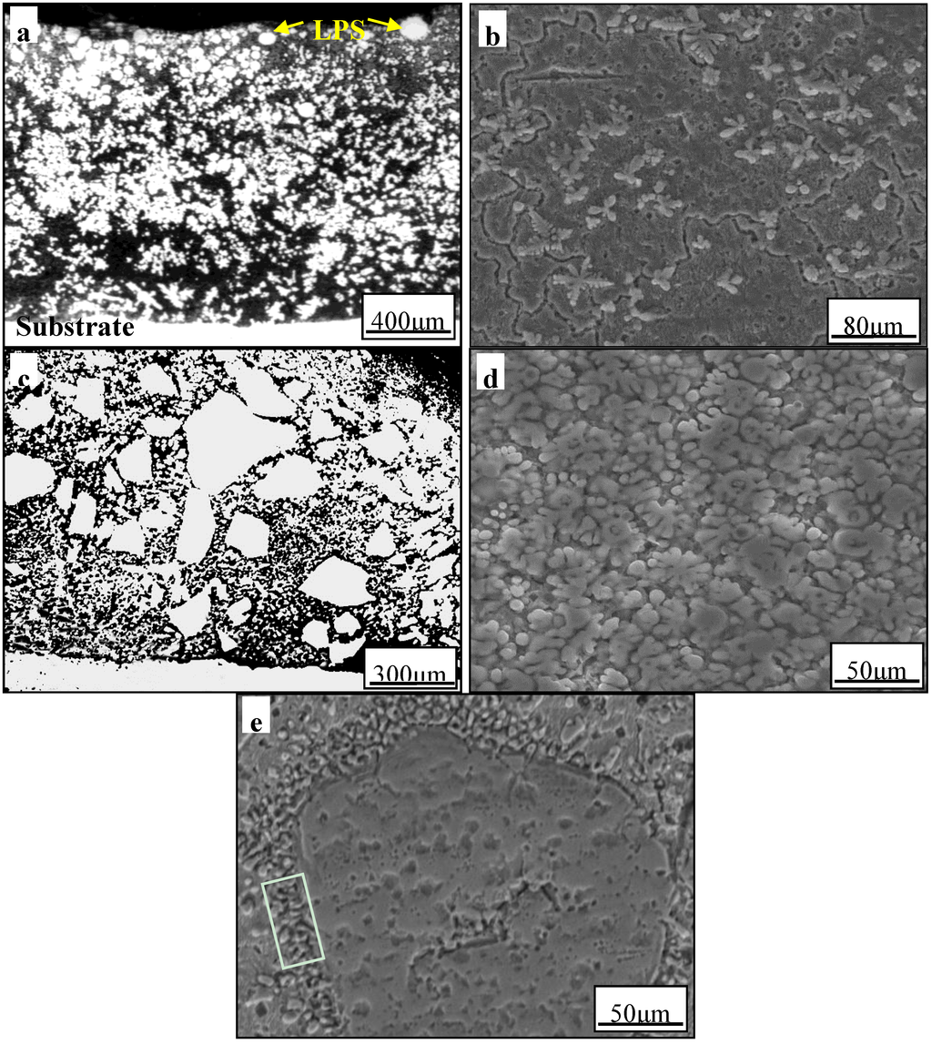 Metals 05 02119 g002 1024