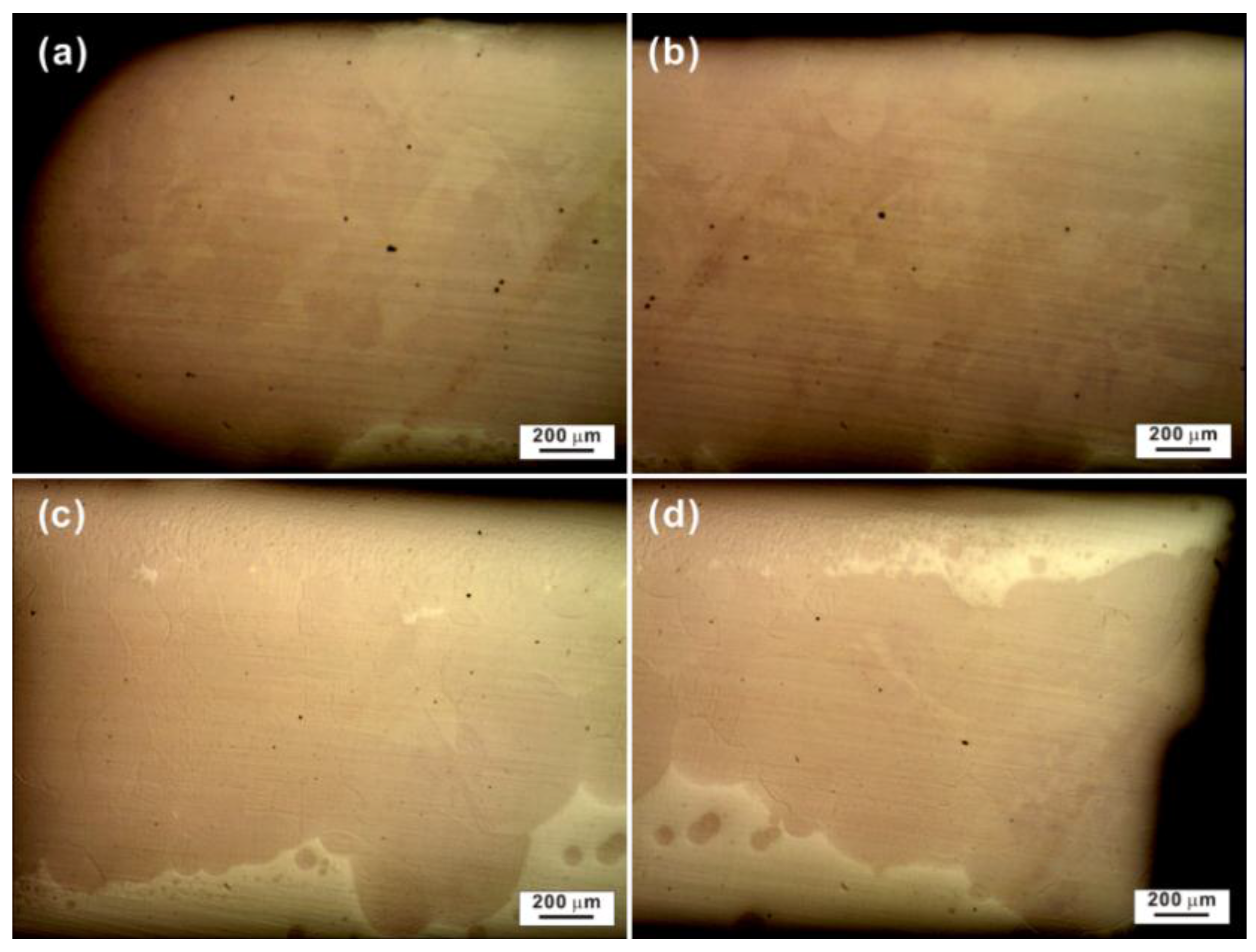 Metals 05 02134 g003