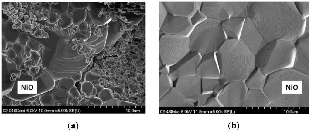 Metals 05 02165 g005 1024