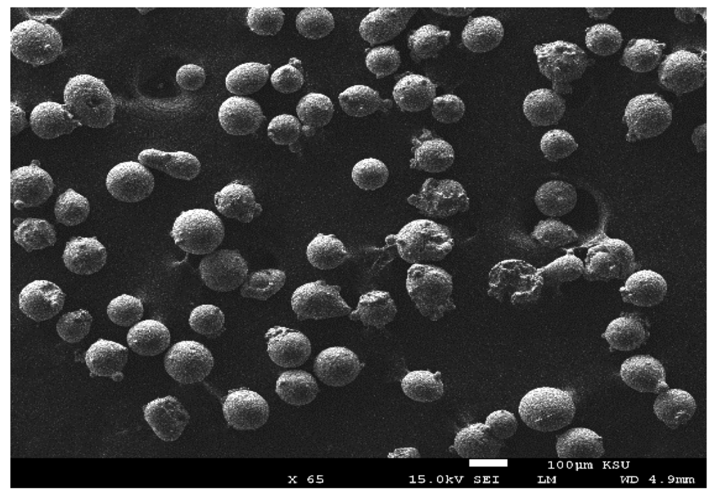 Metals 05 02289 g002 1024