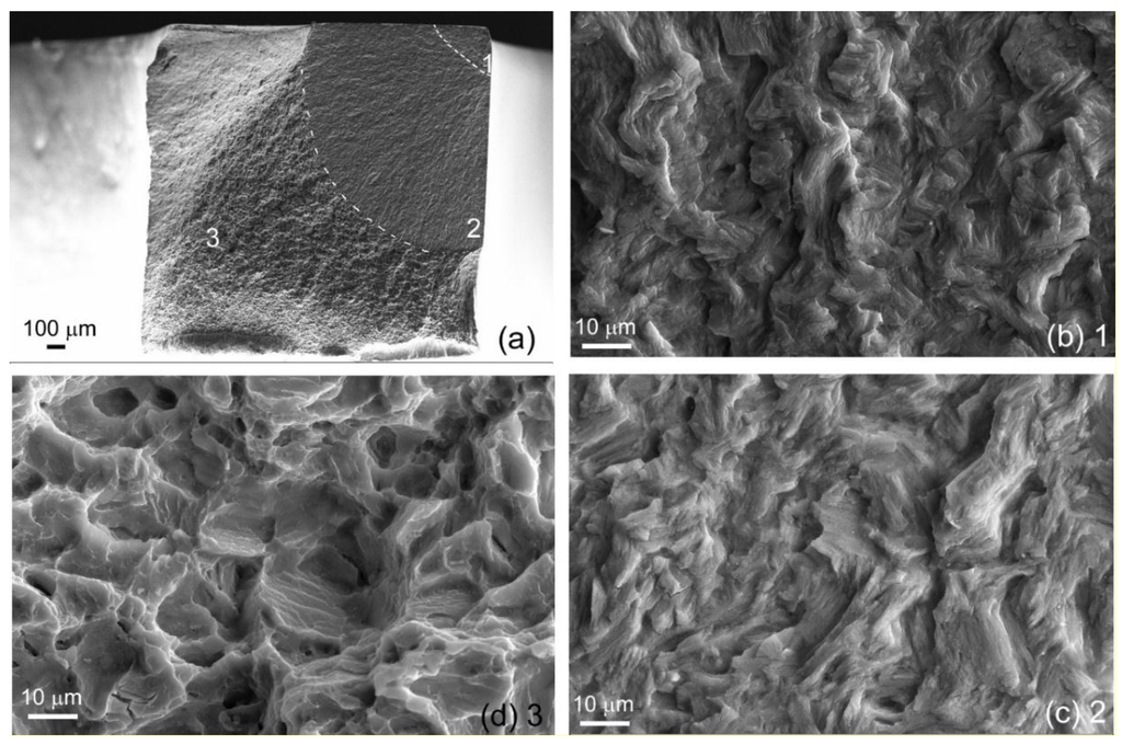 Metals 05 02316 g007 1024