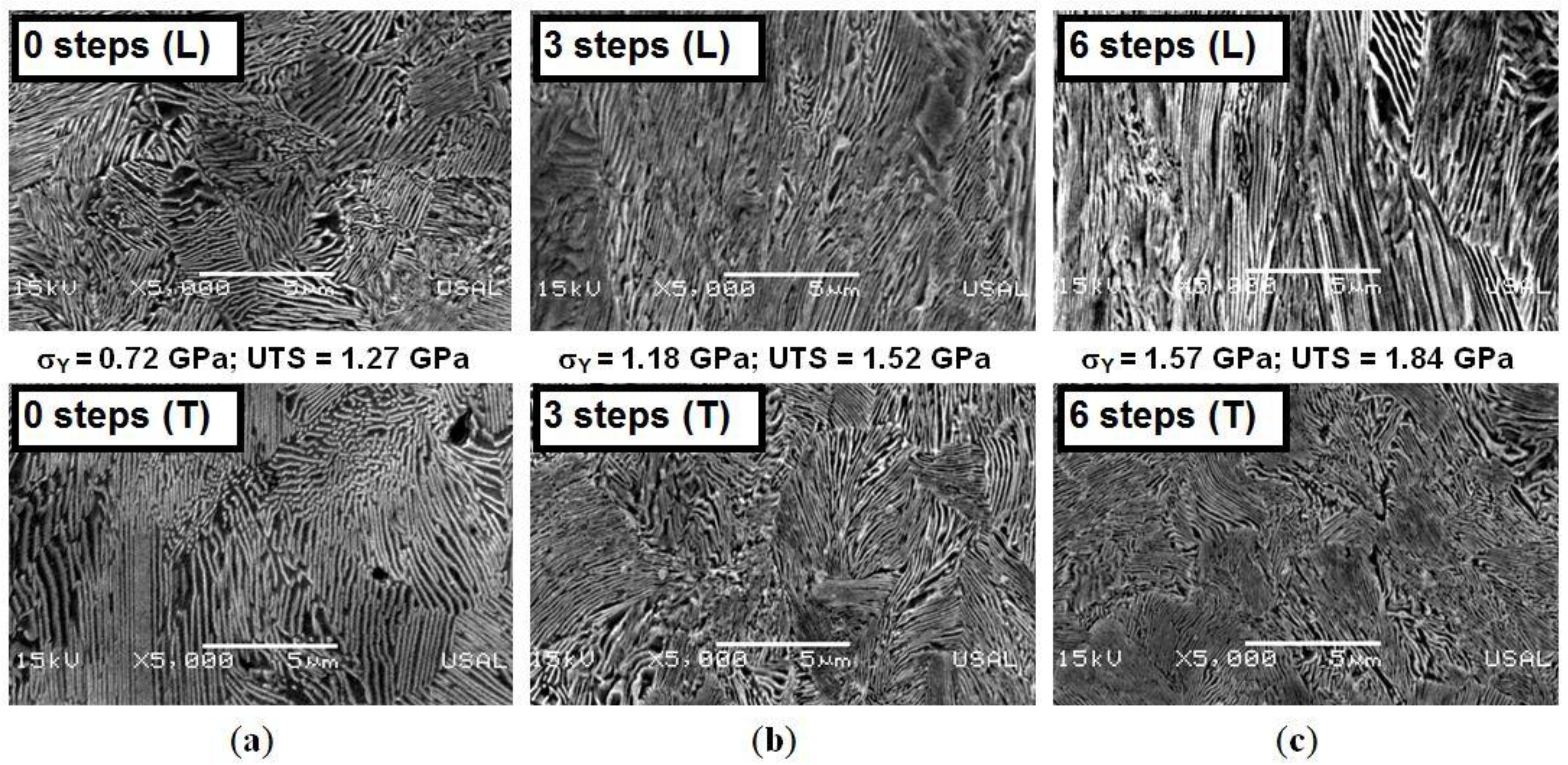 Metals 06 00011 g001
