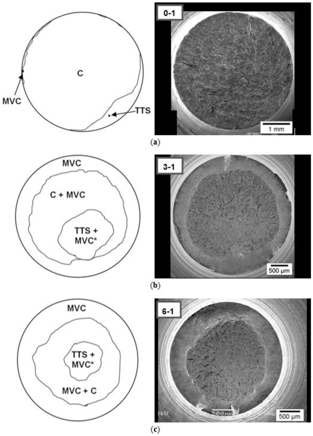 Metals 06 00011 g004 1024