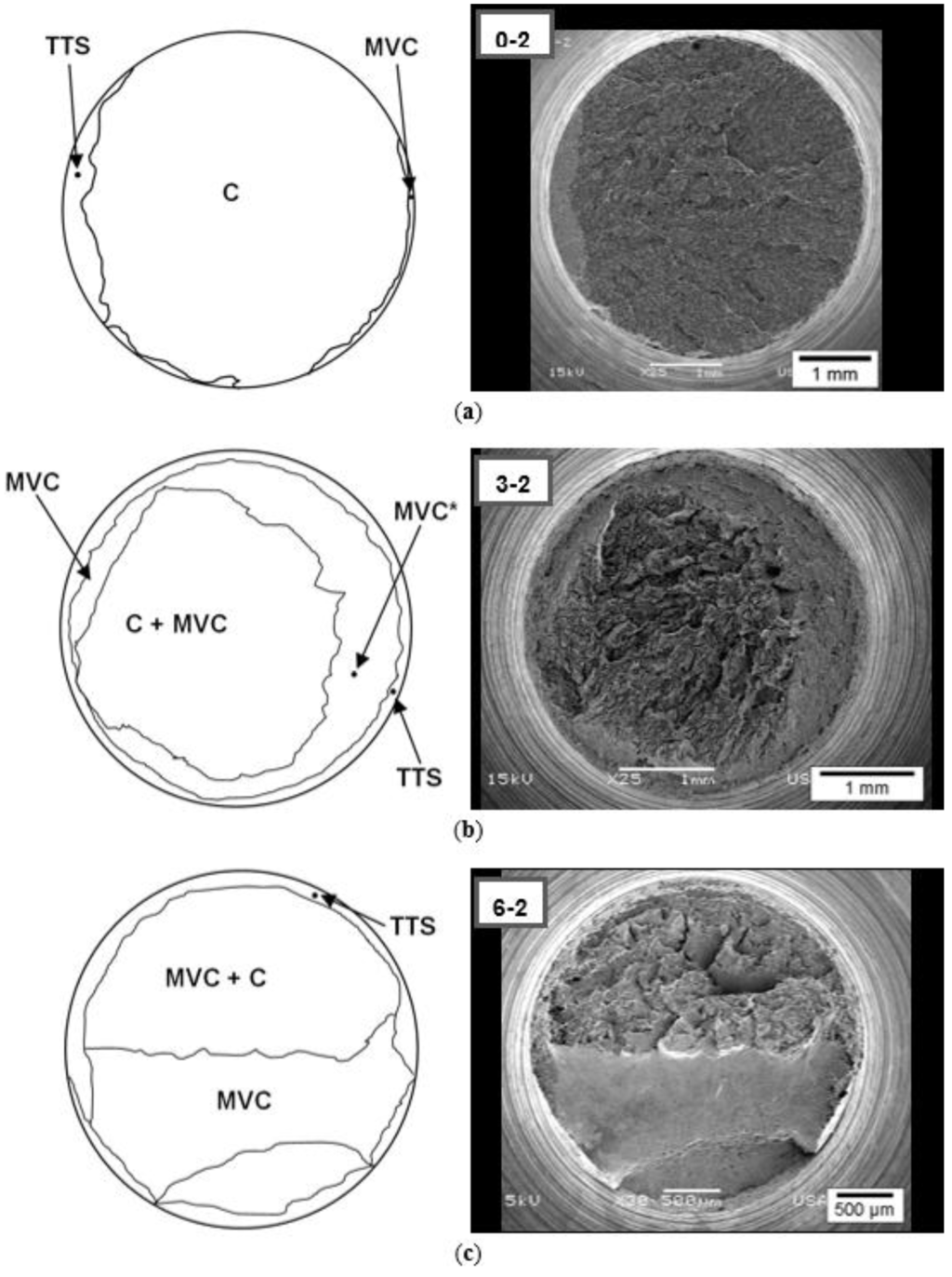 Metals 06 00011 g005 1024
