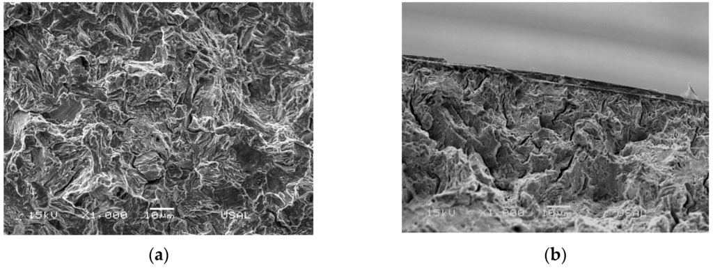 Metals 06 00011 g006 1024