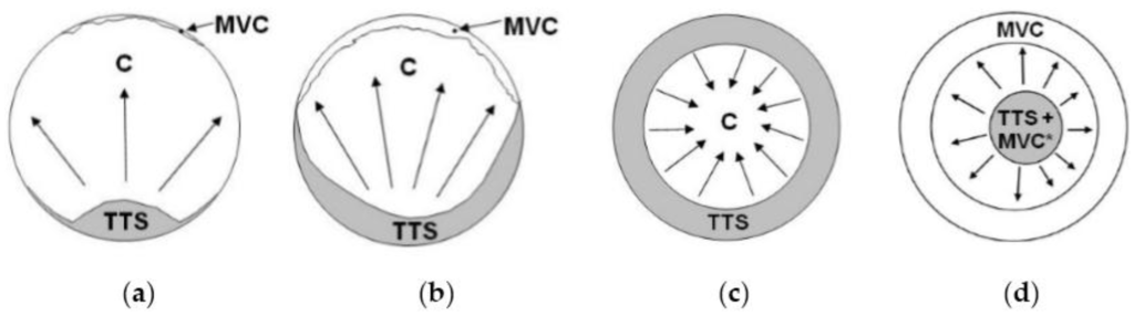 Metals 06 00011 g007 1024