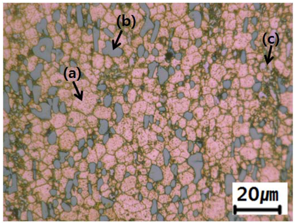 Metals 06 00032 g001 1024