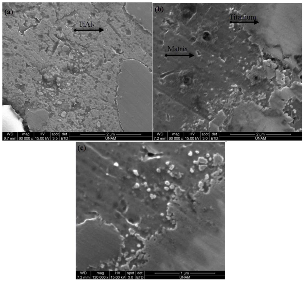 Metals 06 00034 g001 1024