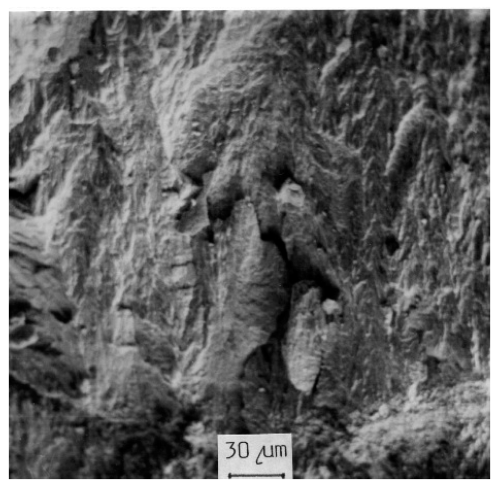 Metals 06 00036 g015 1024