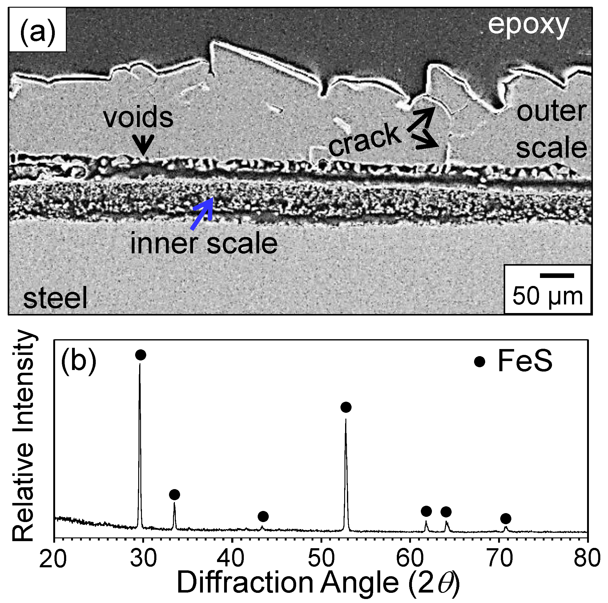 Metals 06 00038 g003