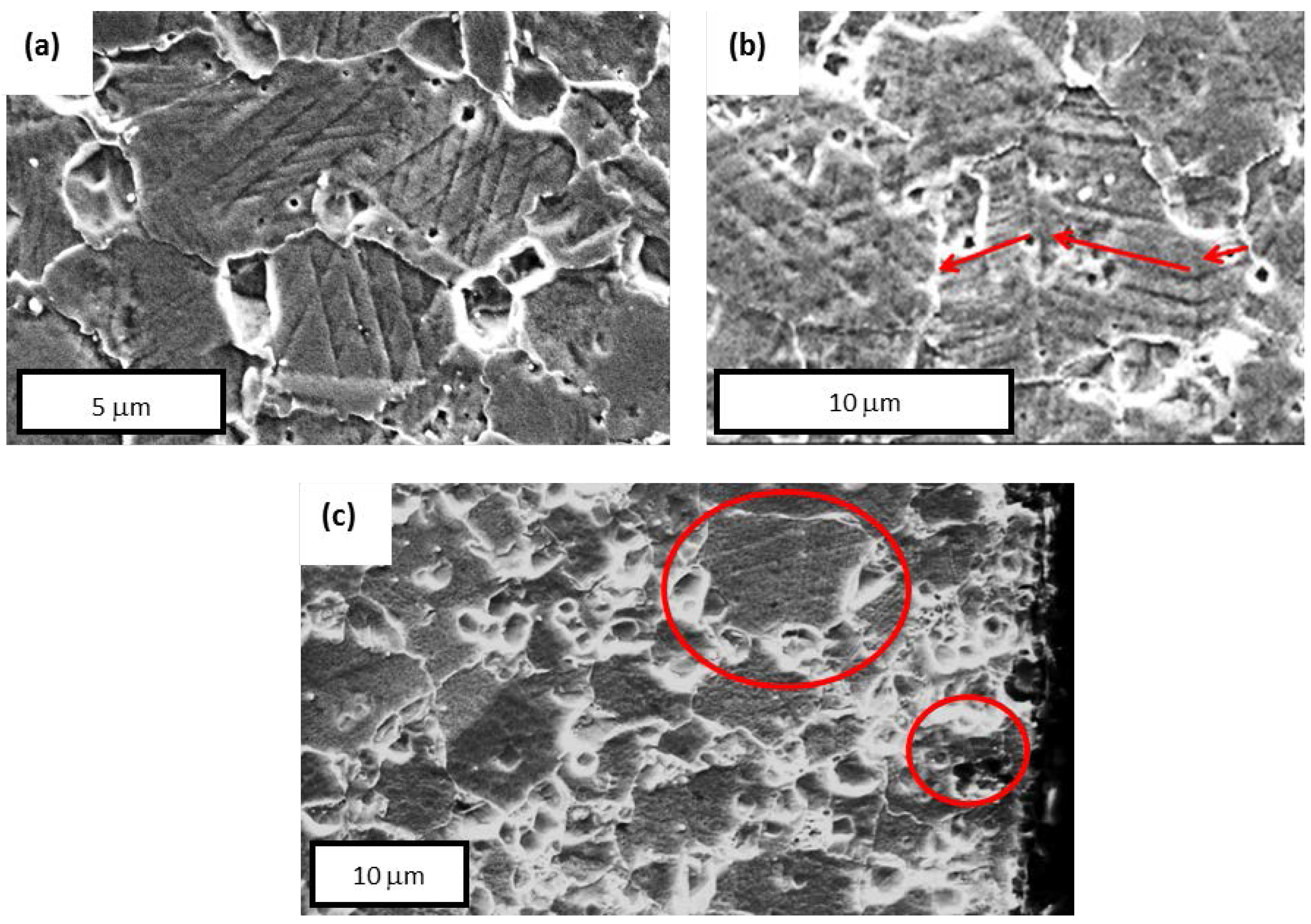 Metals 06 00054 g007