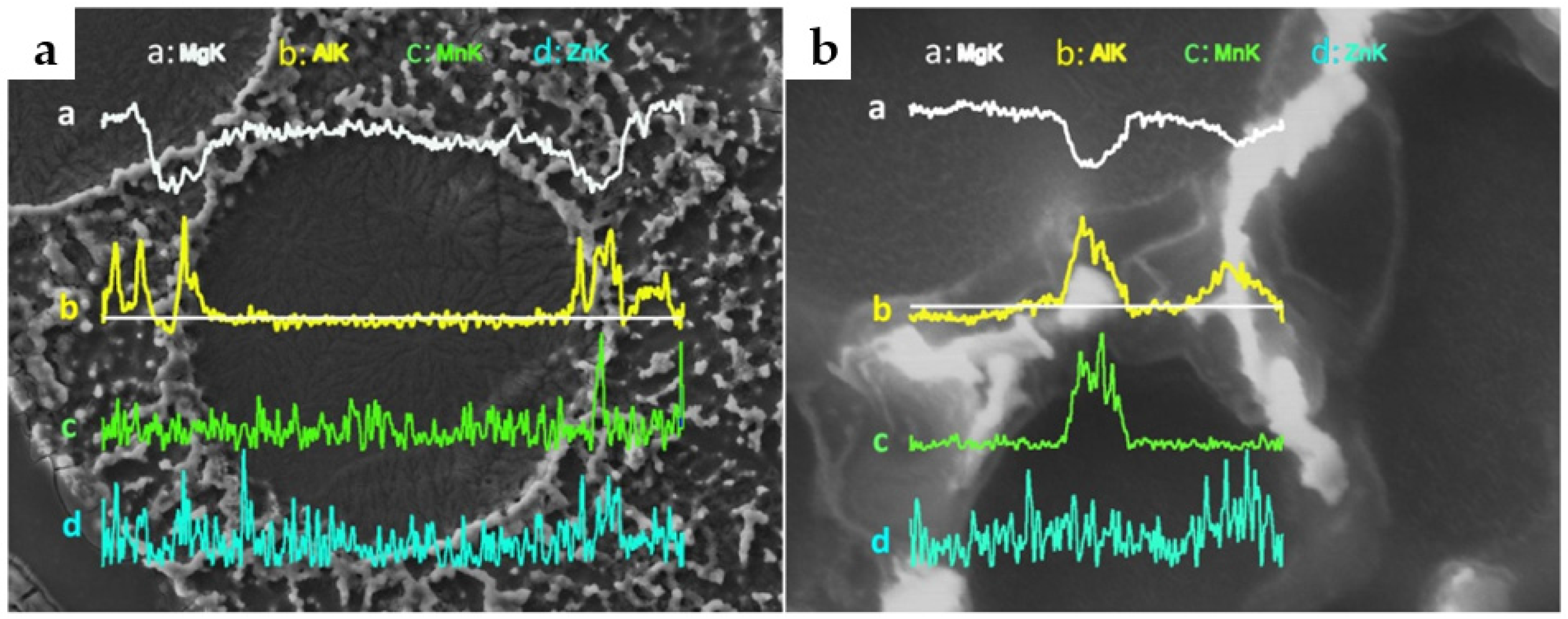 Metals 06 00069 g011