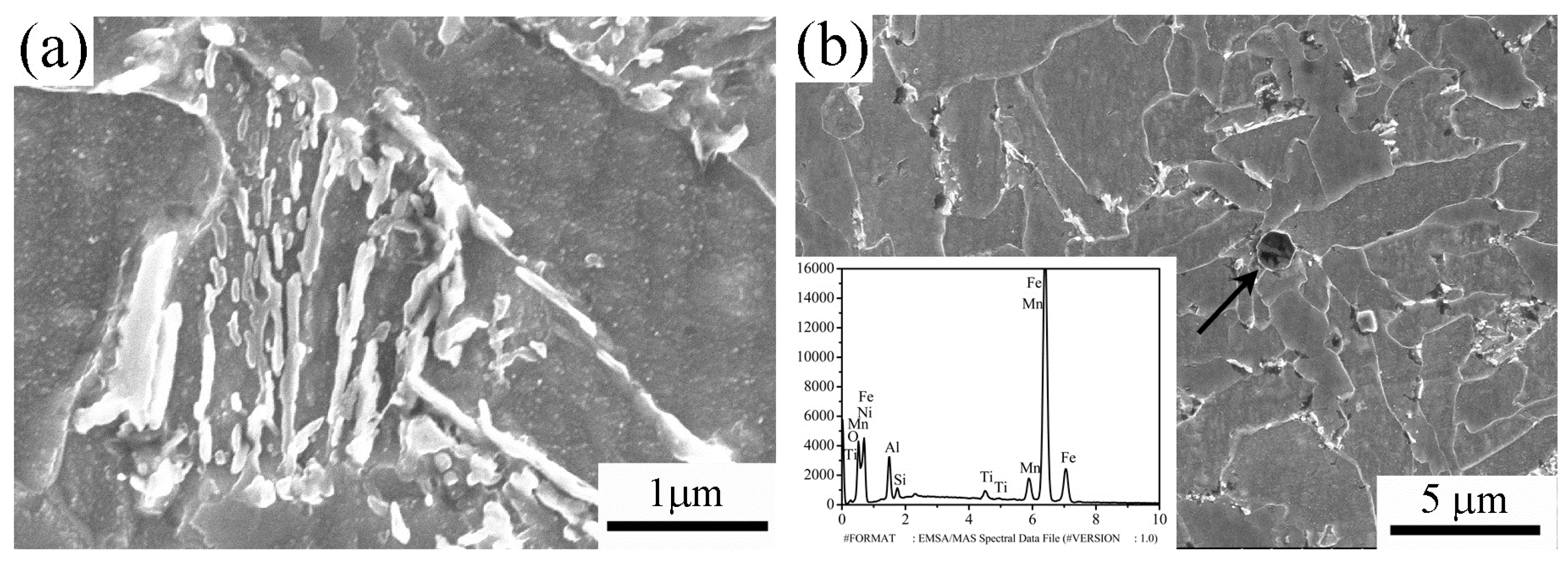 Metals 06 00075 g005a