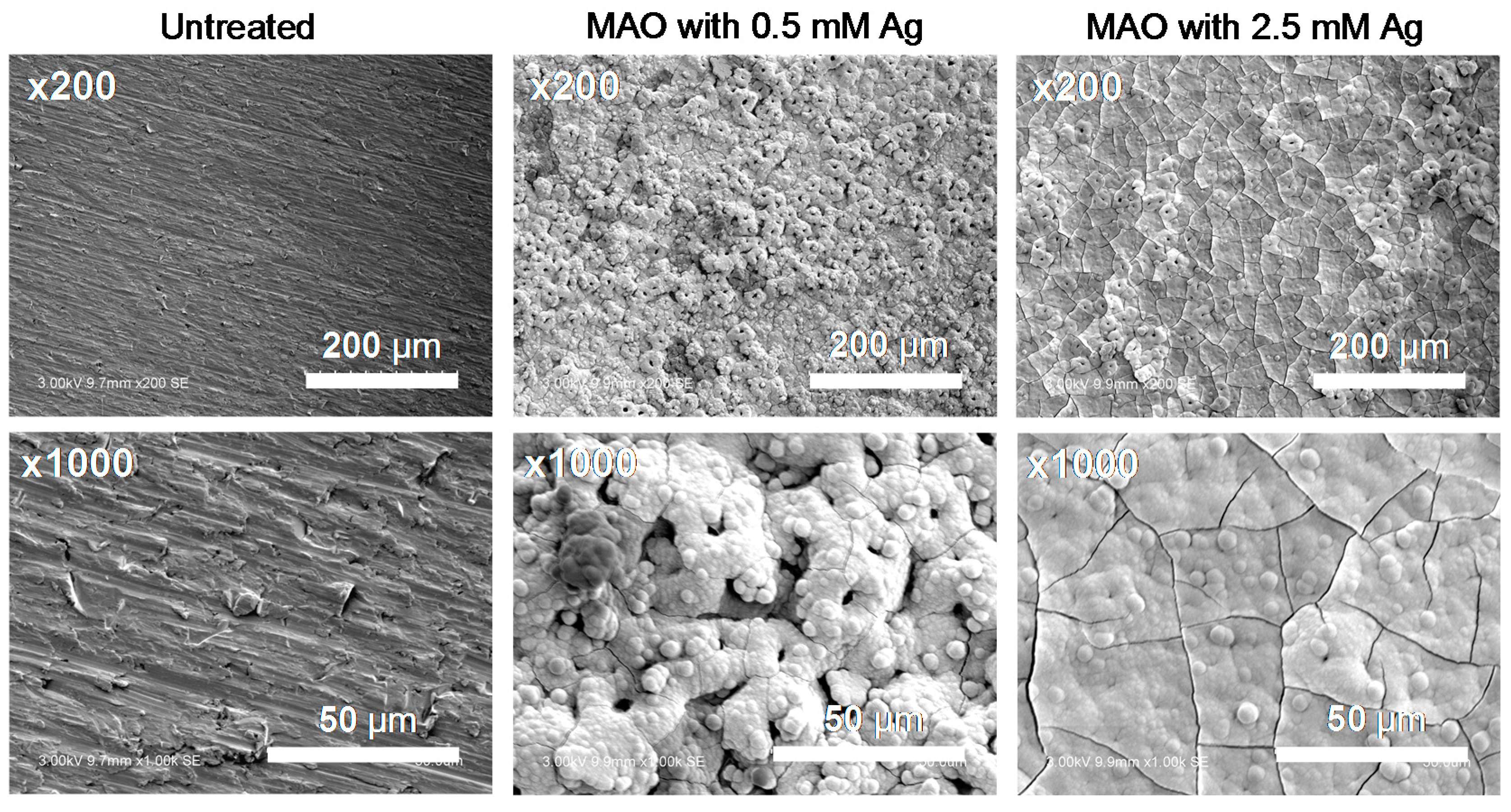 Metals 06 00076 g004