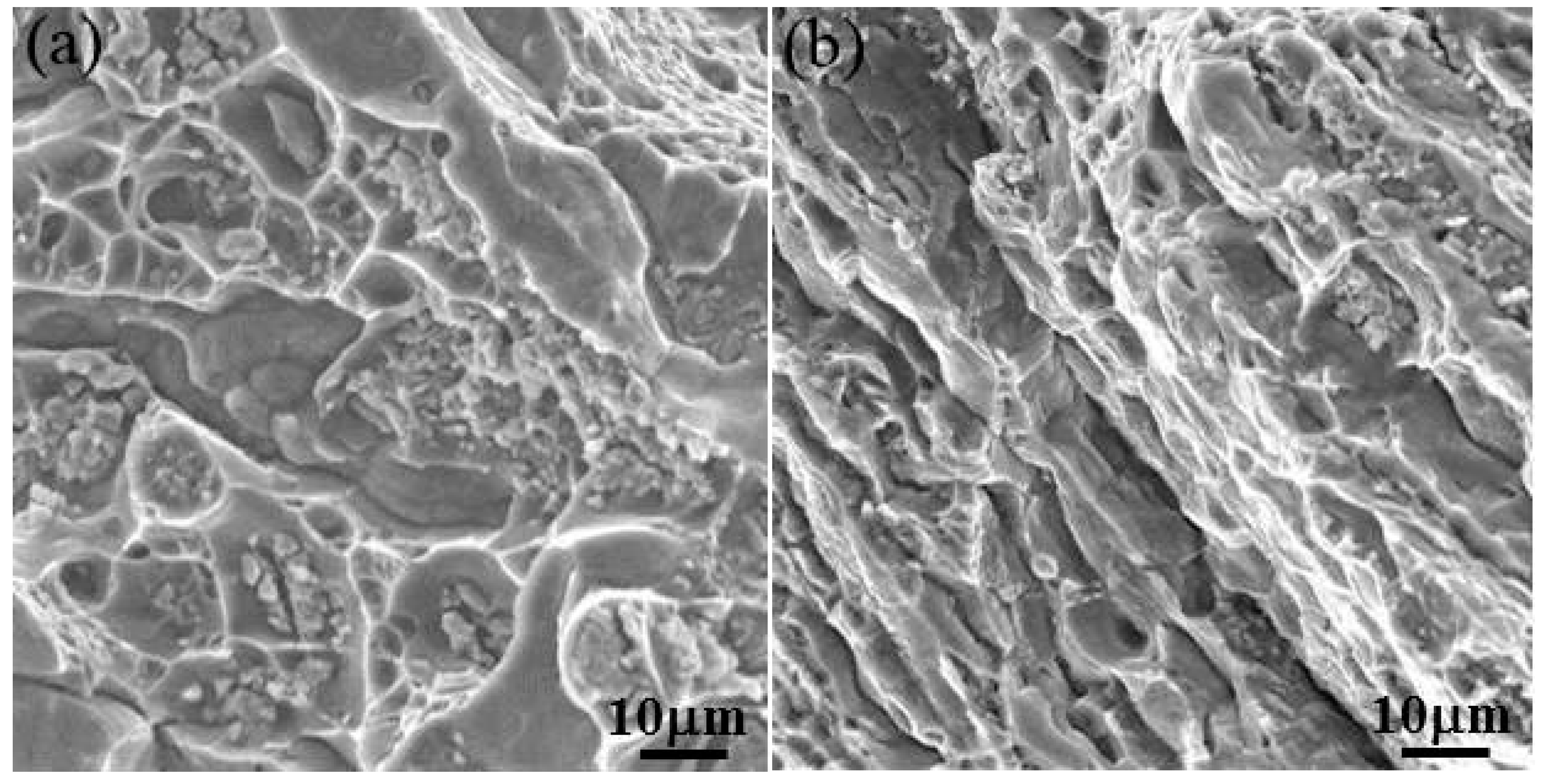 Metals 06 00079 g010