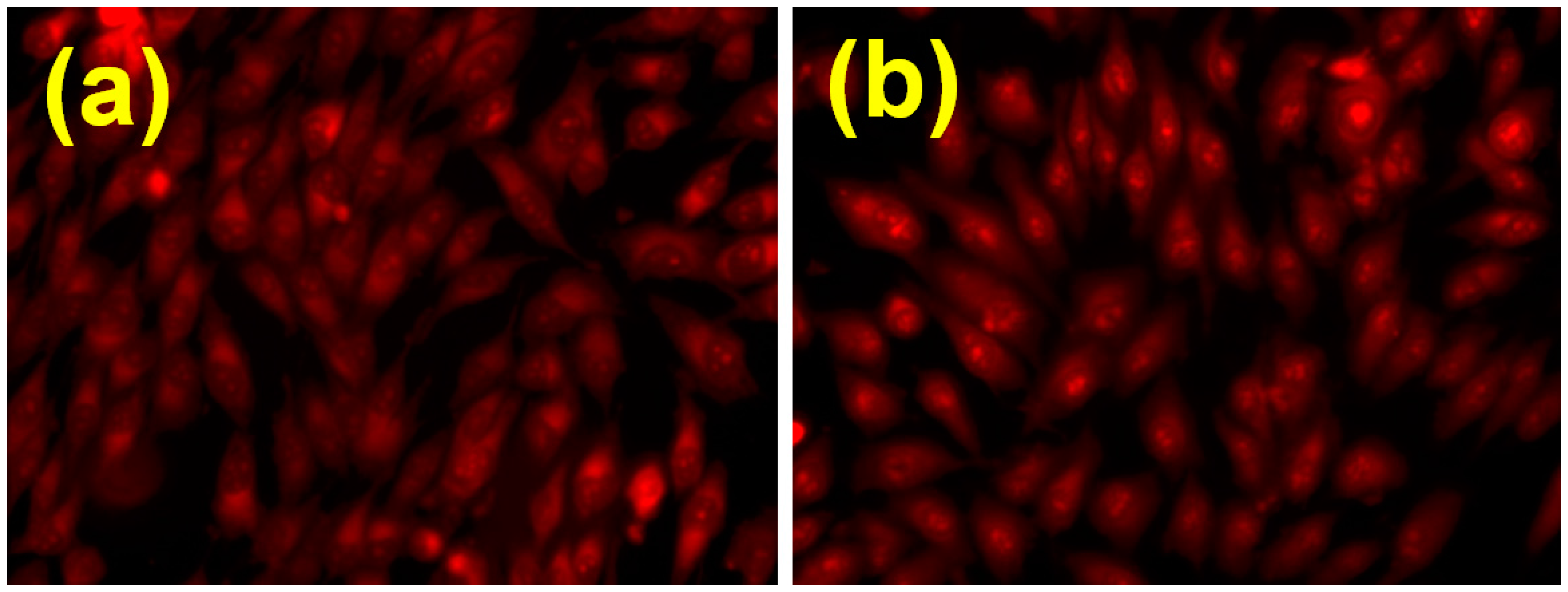 Metals 06 00103 g005