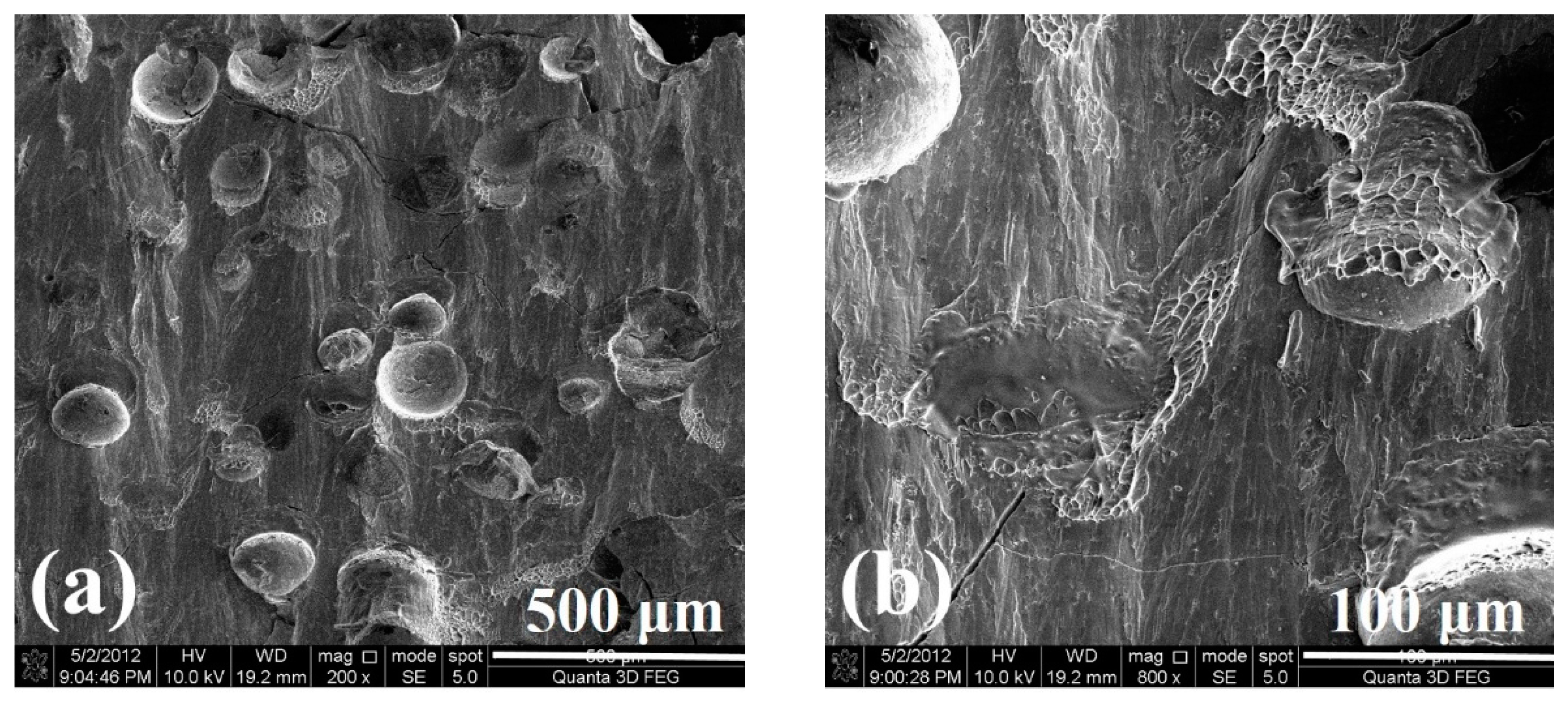 Metals 06 00116 g006