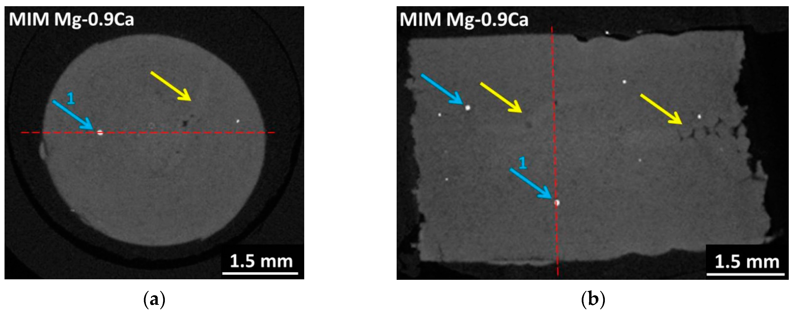 Metals 06 00118 g006