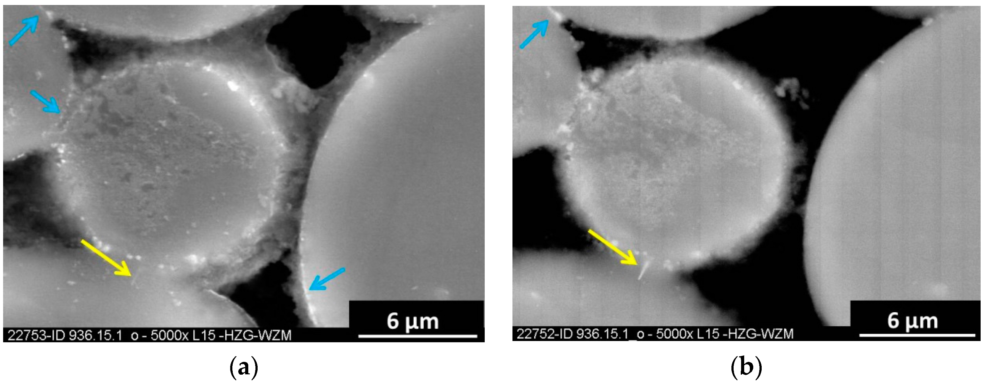 Metals 06 00118 g008