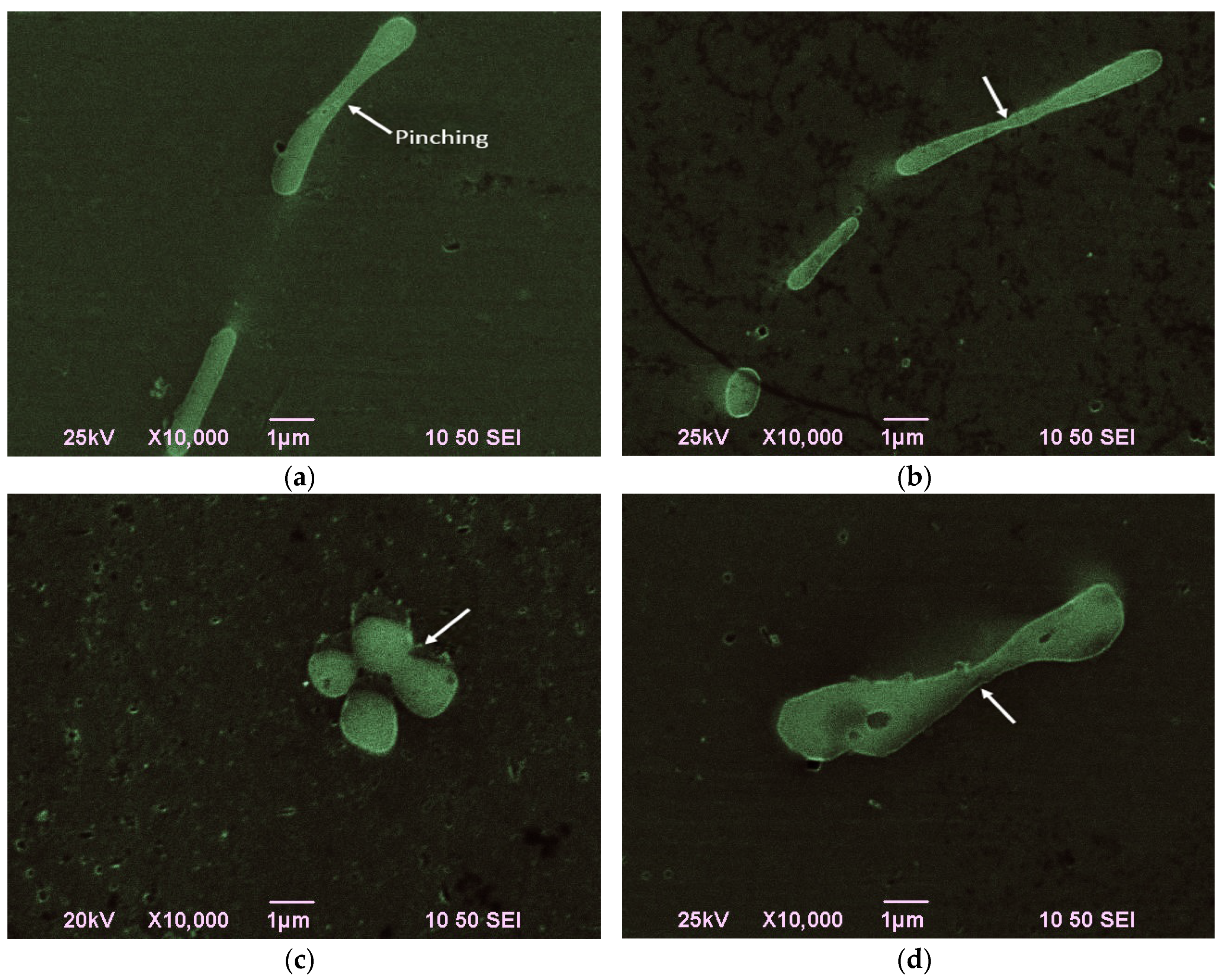 Metals 06 00121 g004