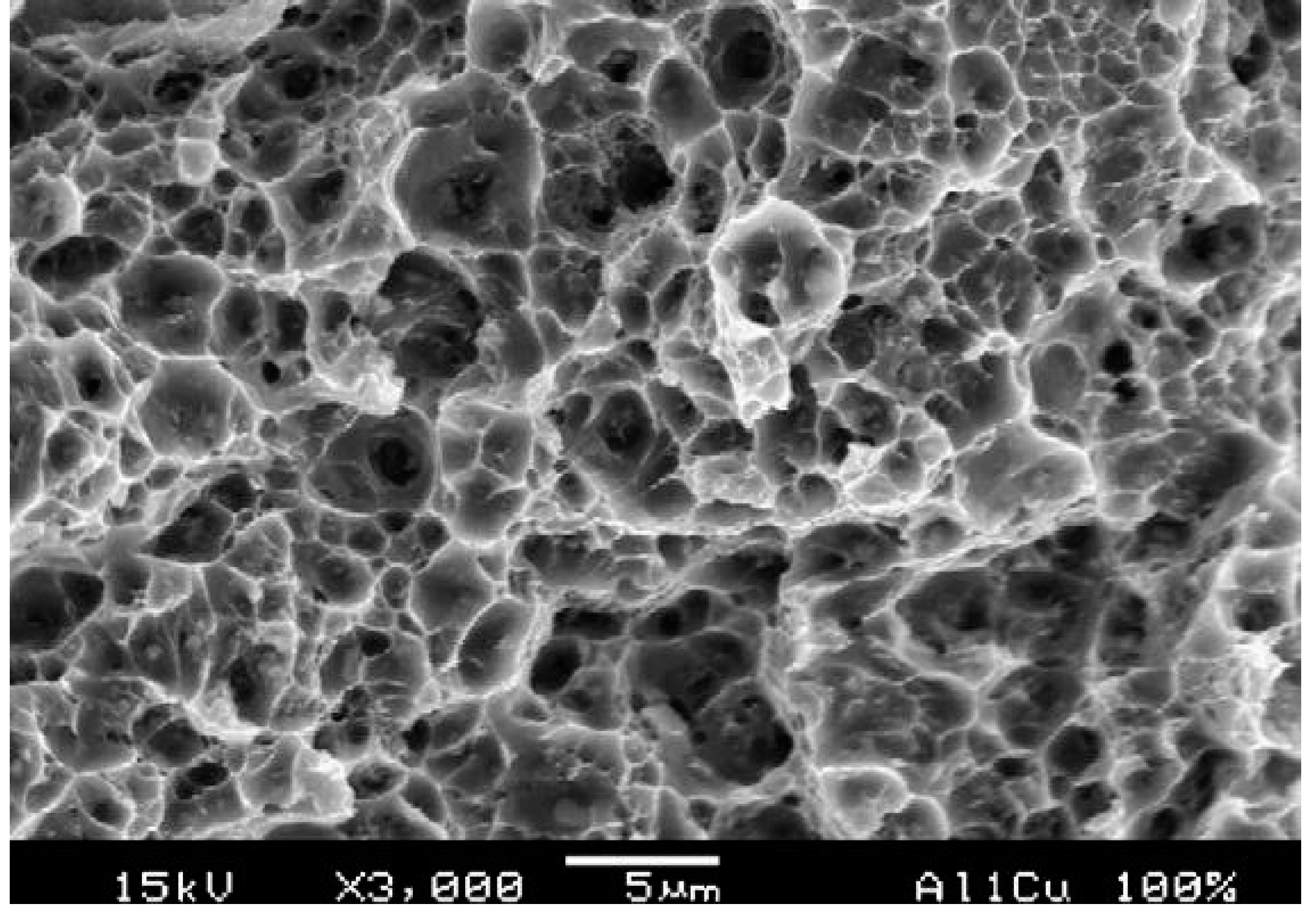 Metals 06 00143 g010