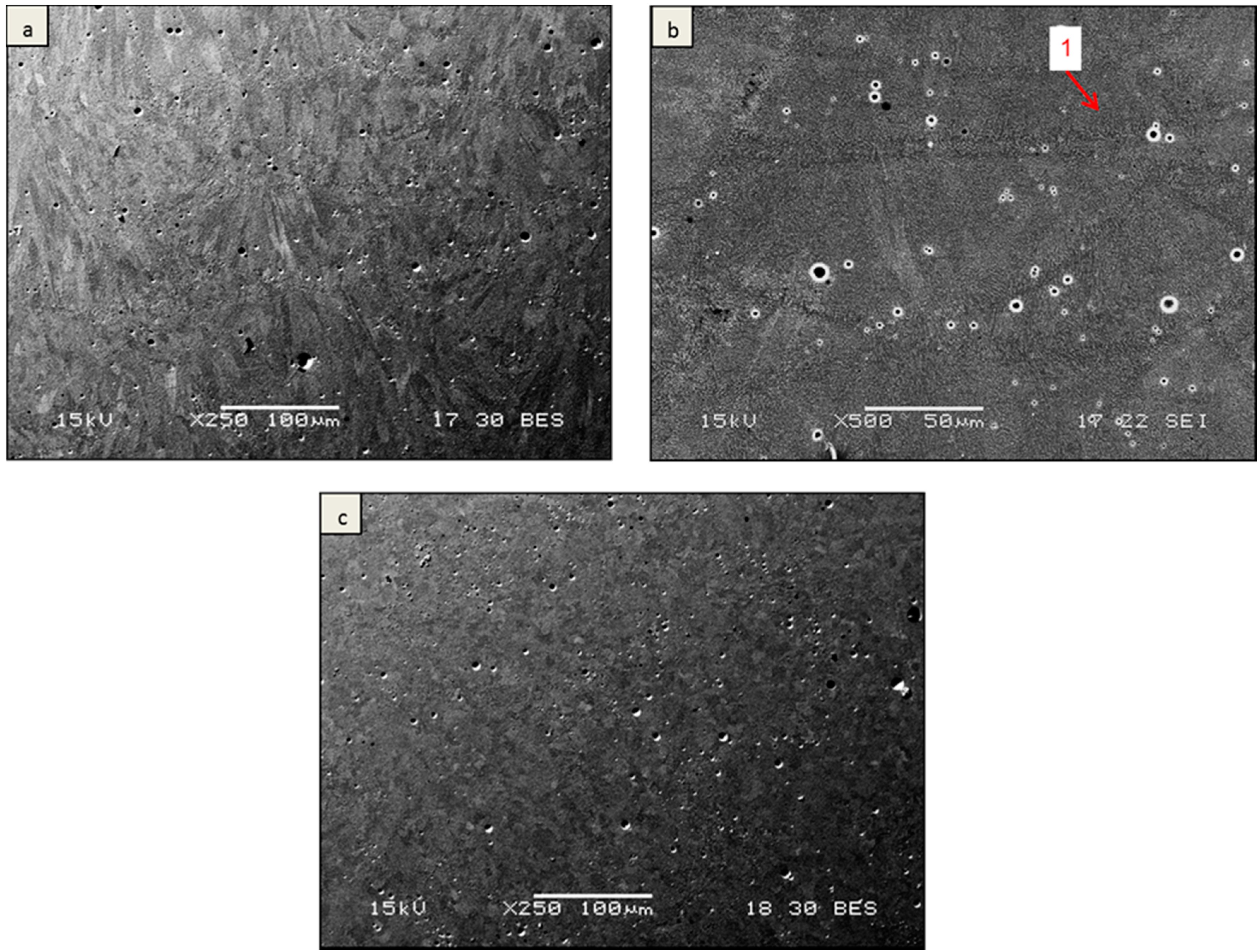 Metals 06 00148 g001