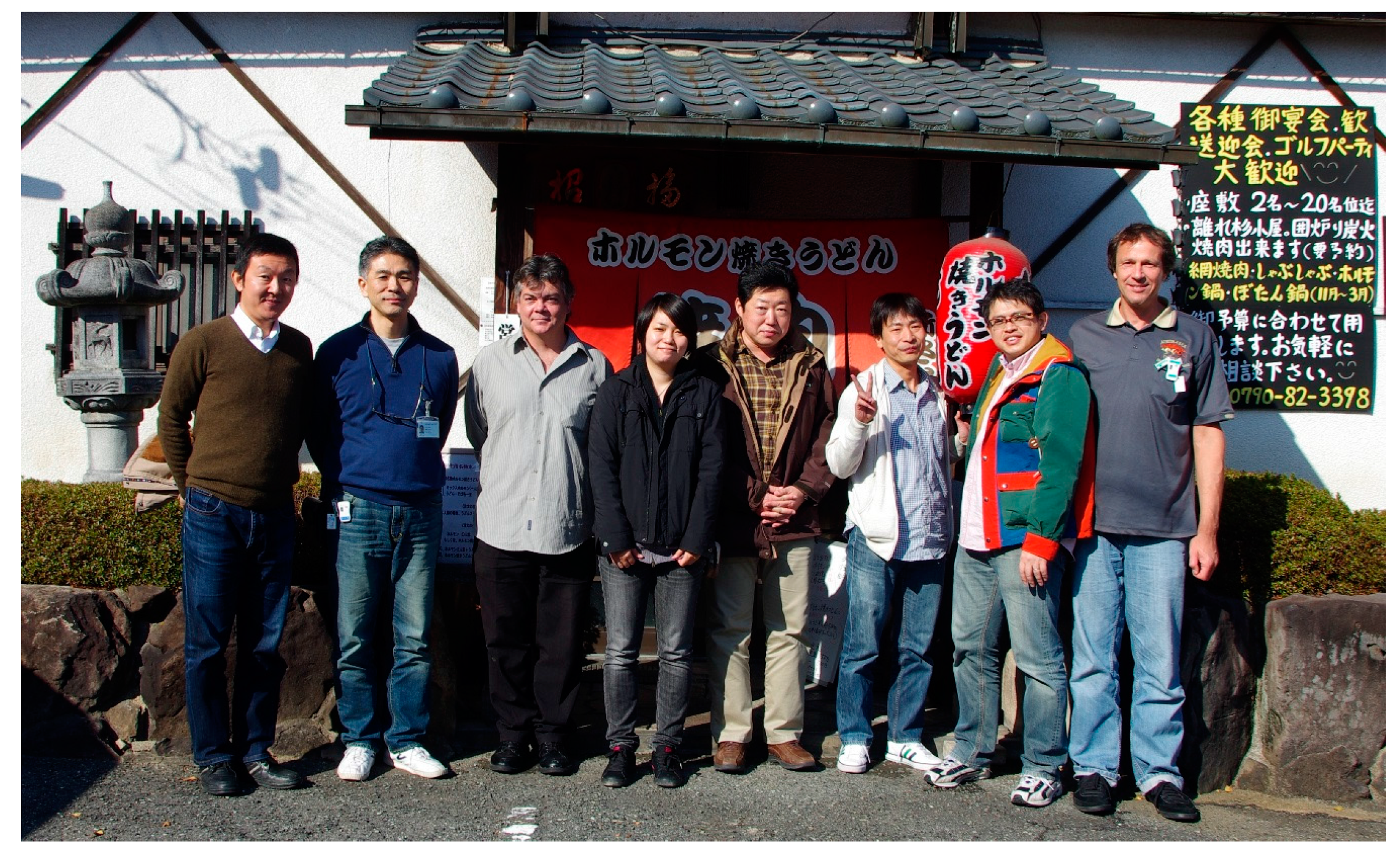 Metals 06 00165 g011