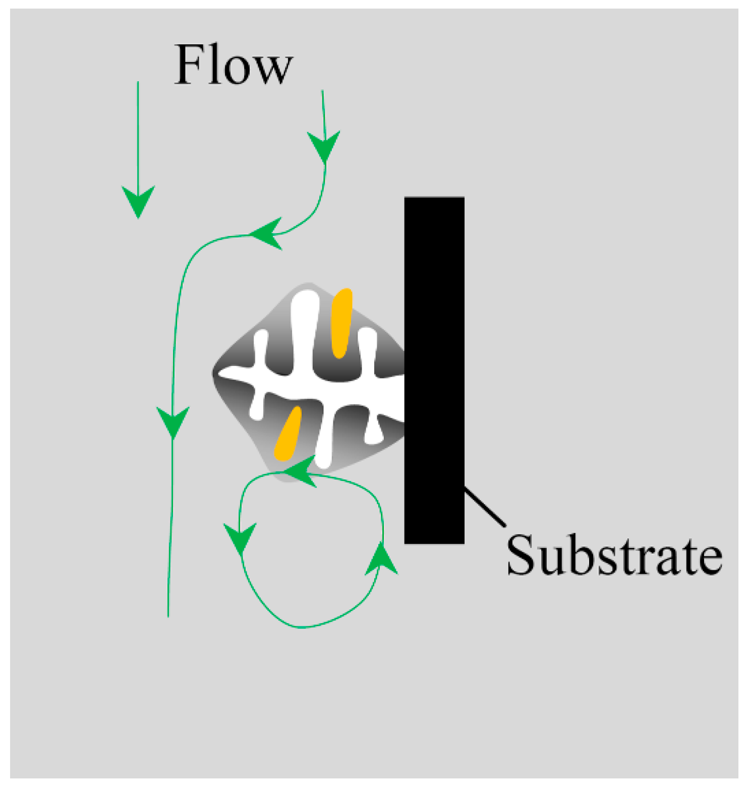 Metals 06 00170 g009
