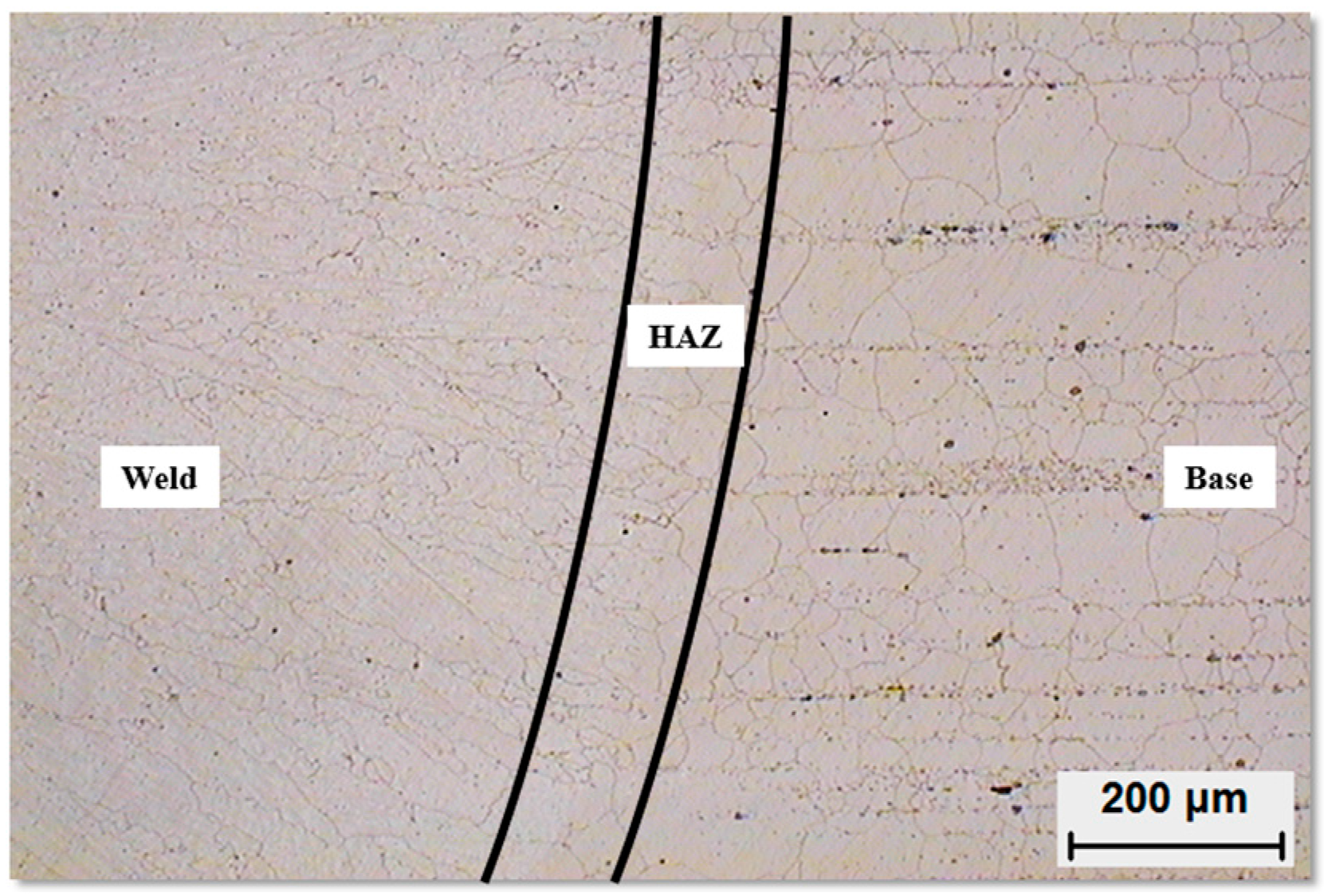 Metals 06 00178 g001