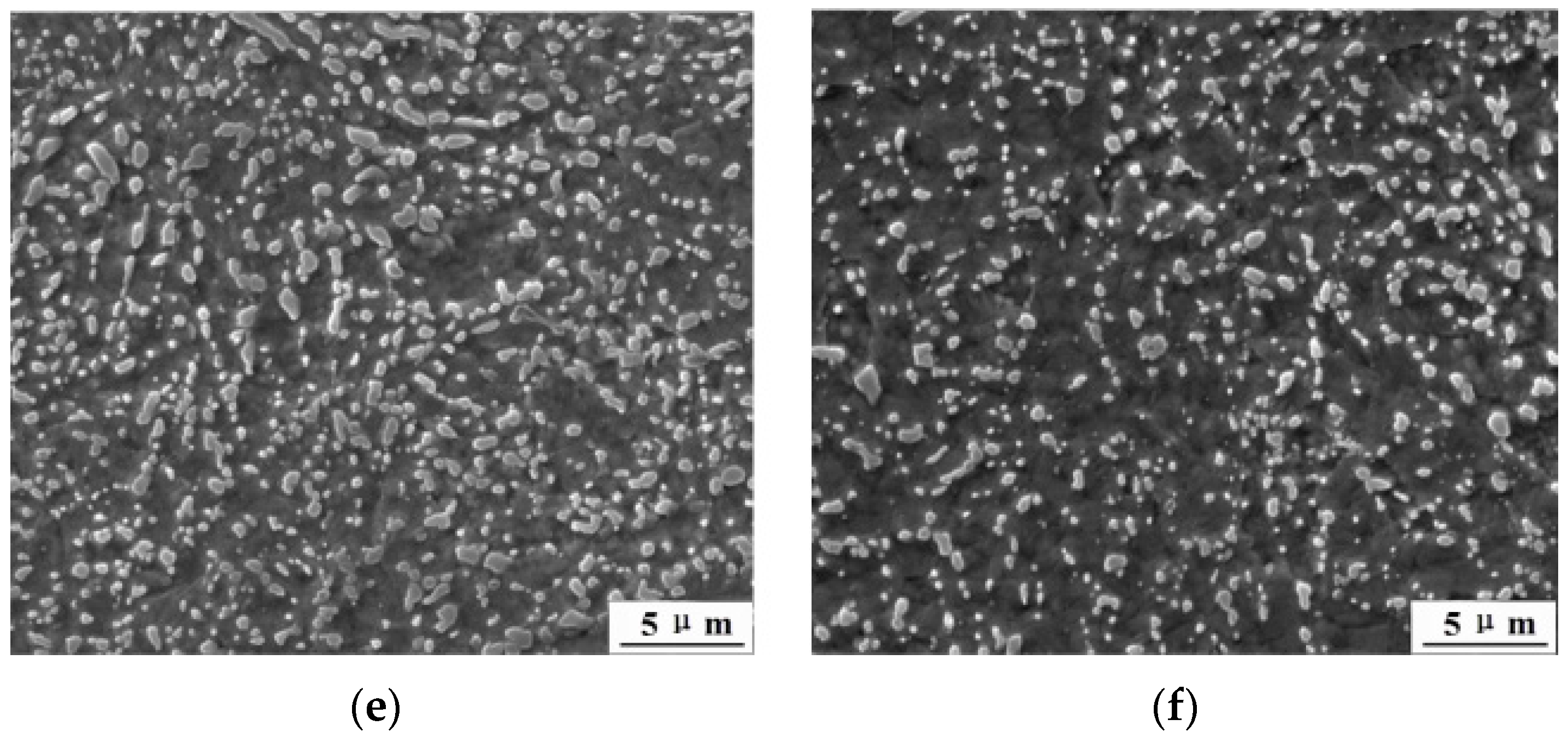 Metals 06 00193 g003b