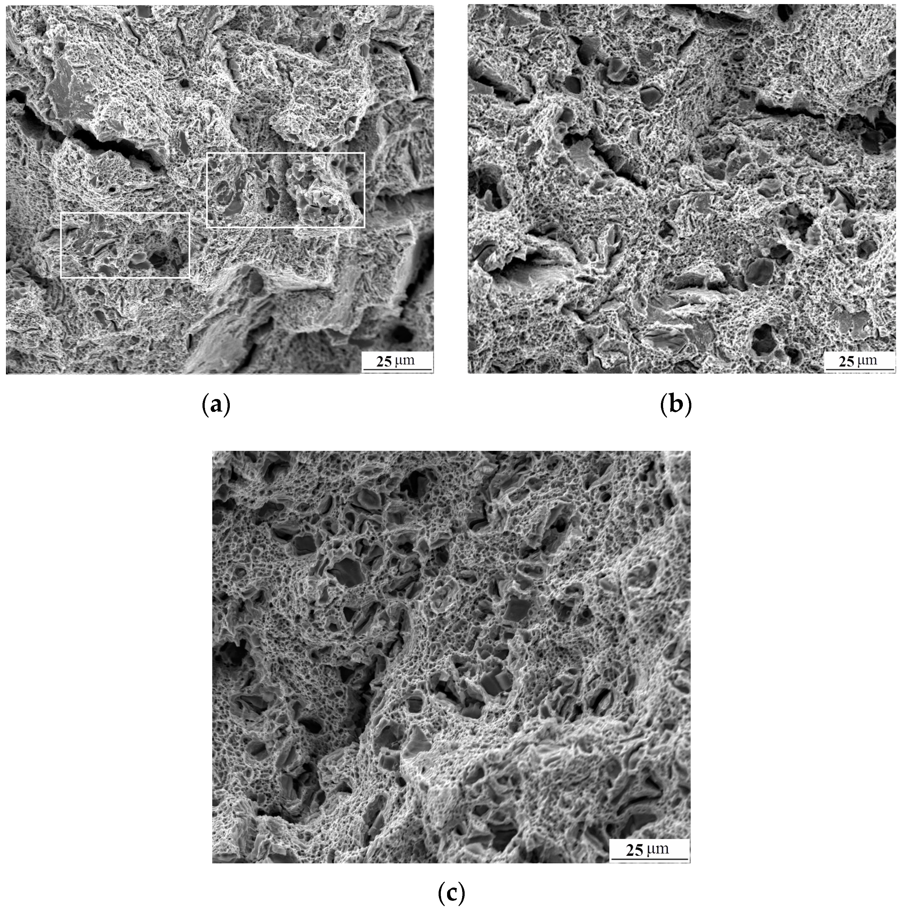 Metals 06 00193 g010