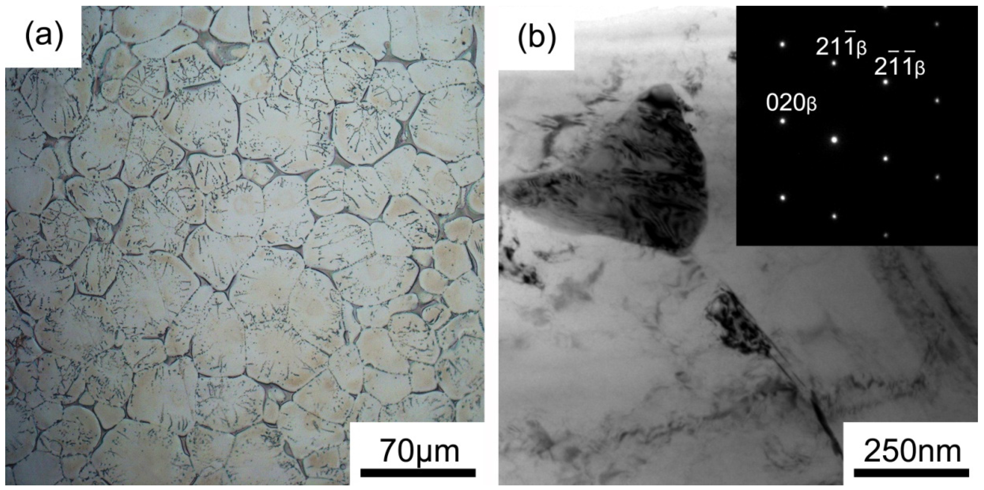 Metals 06 00196 g002