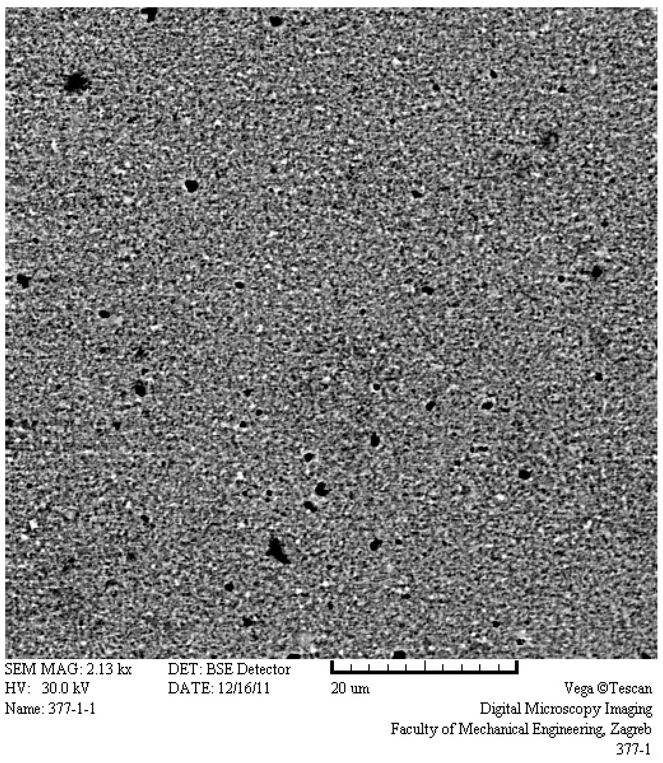 Metals 06 00198 g001