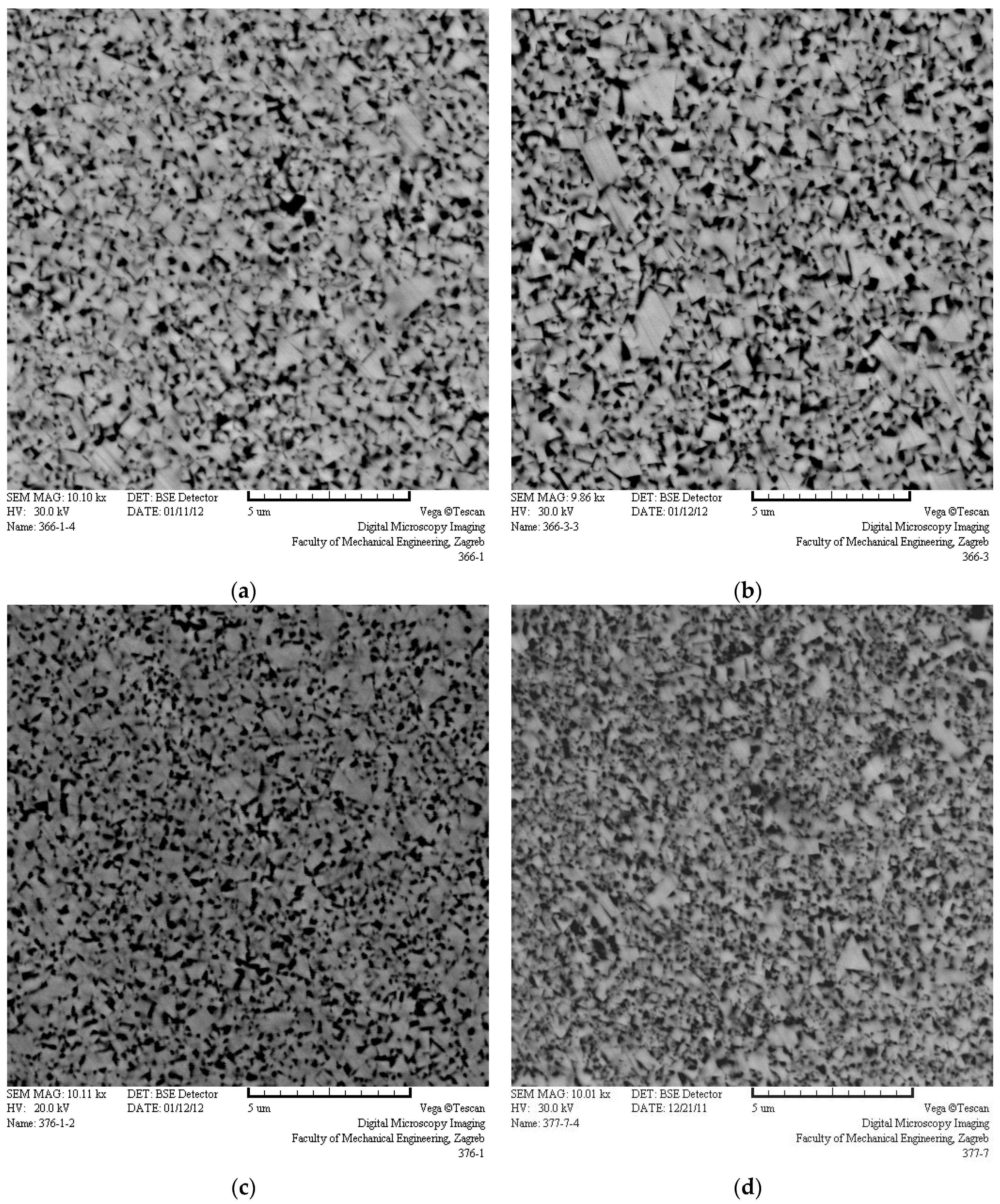 Metals 06 00198 g003