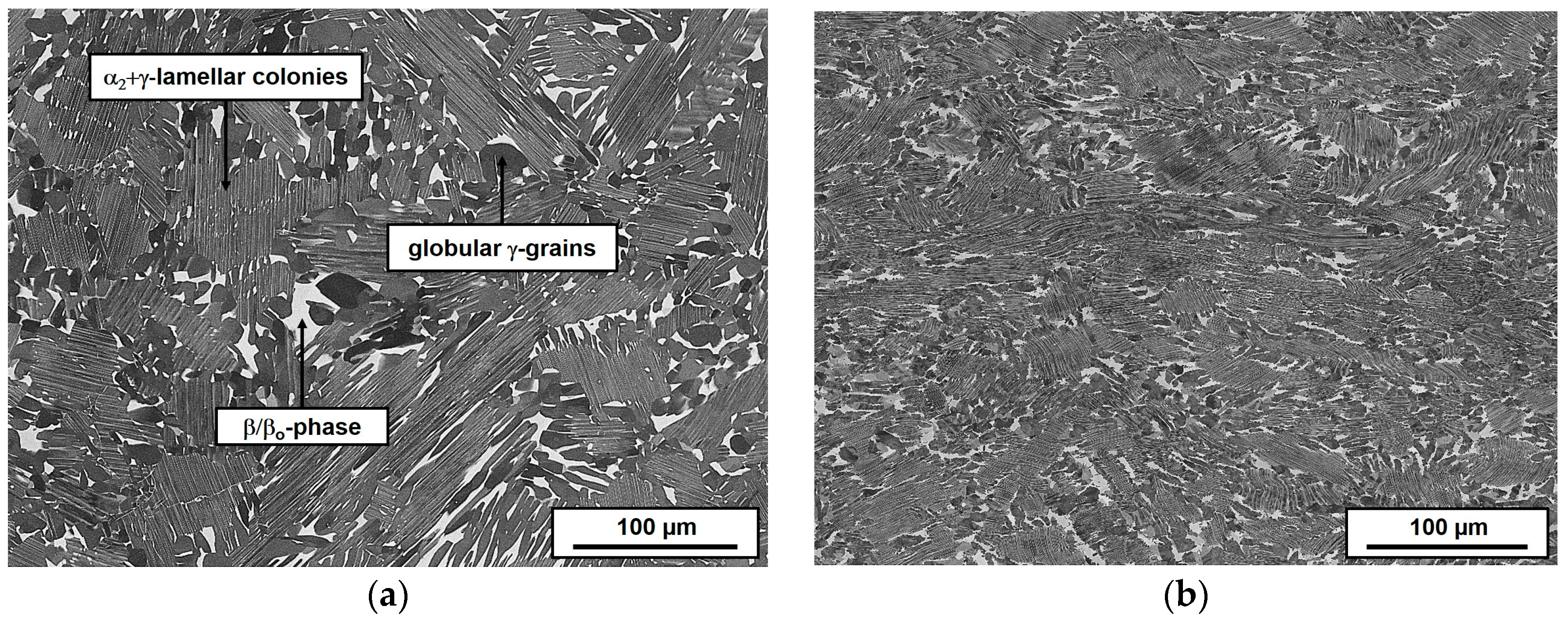 Metals 06 00204 g002