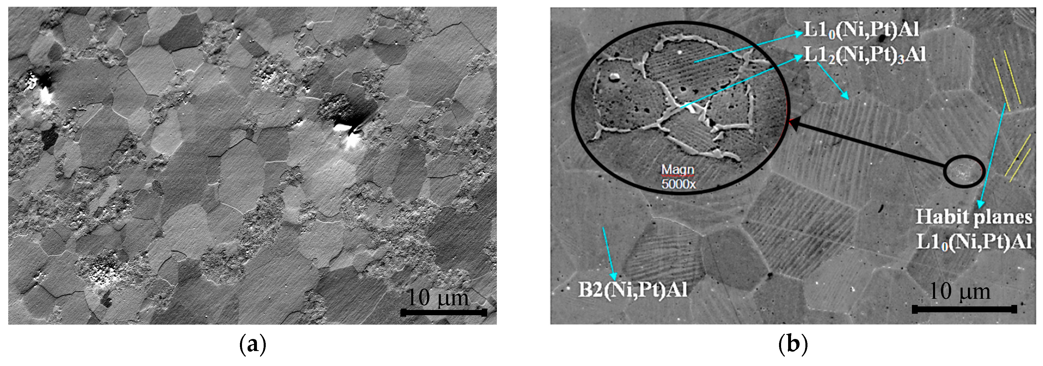 Metals 06 00208 g003