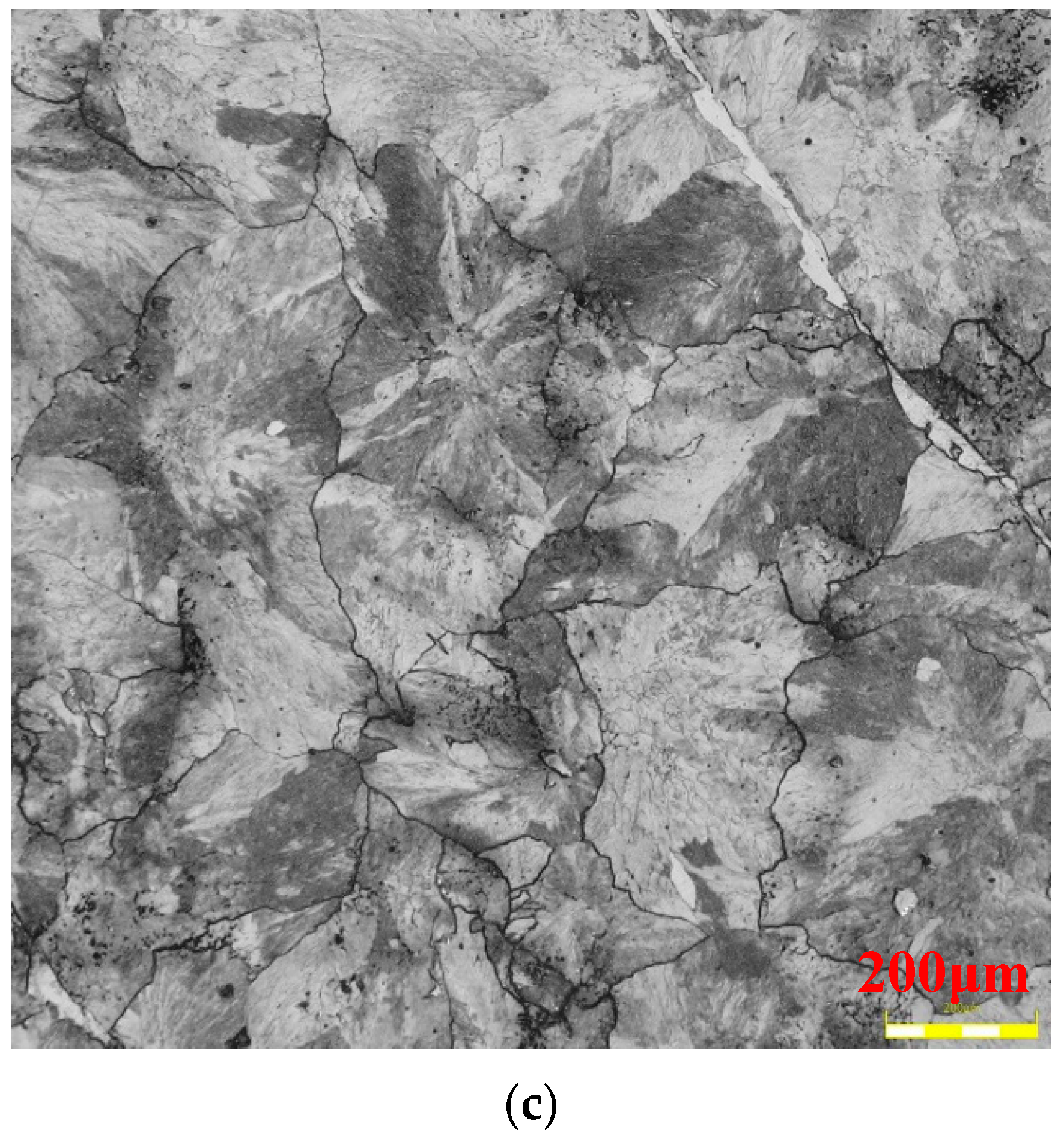 Metals 06 00210 g003b