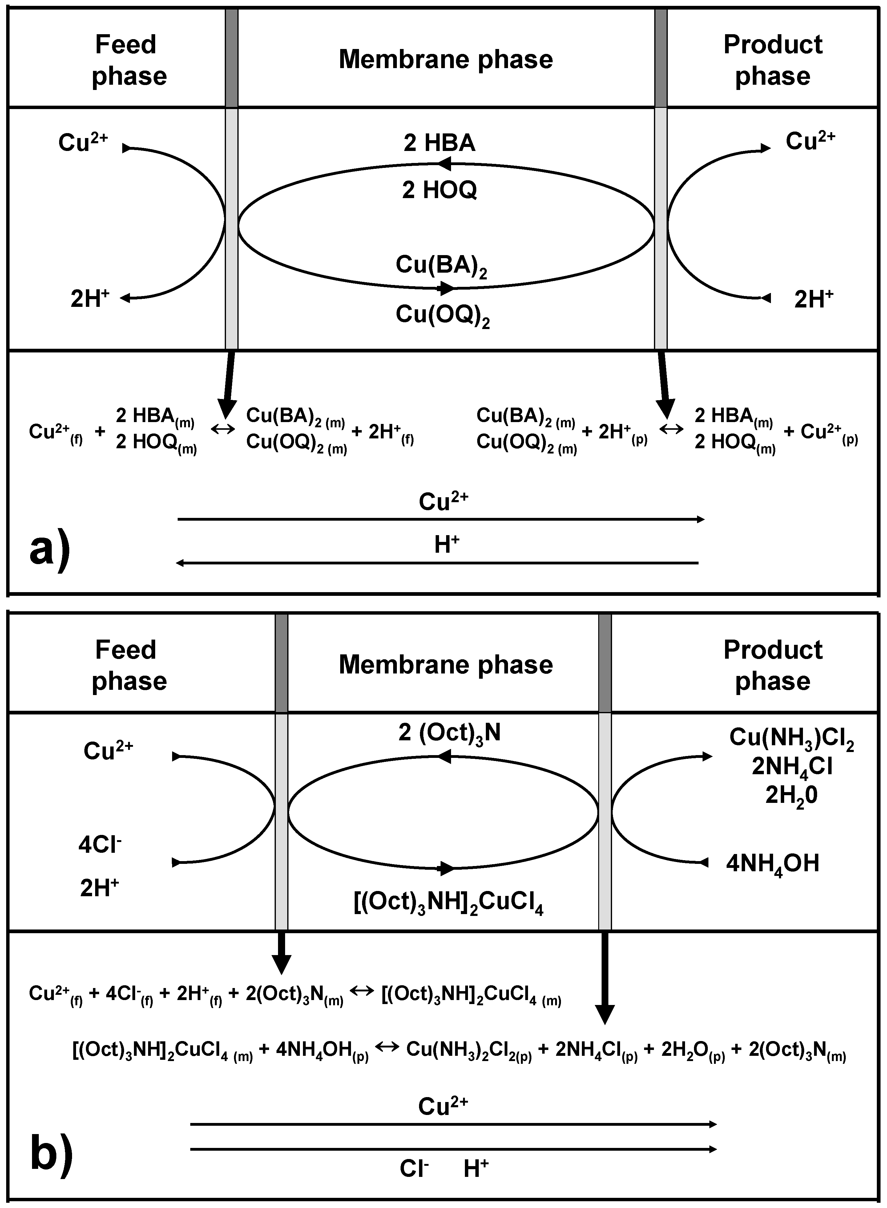 Metals 06 00212 g002