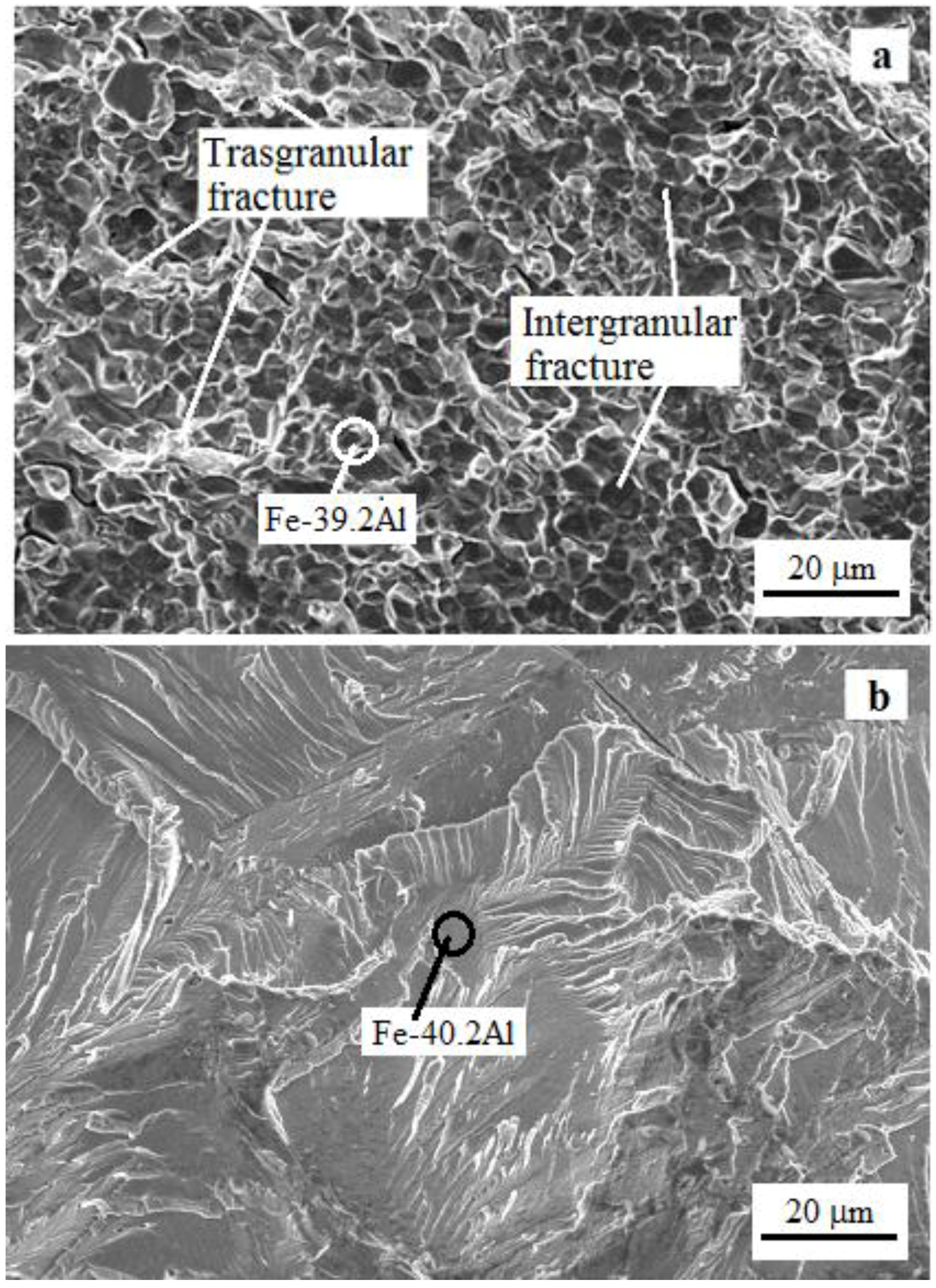 Metals 06 00229 g008