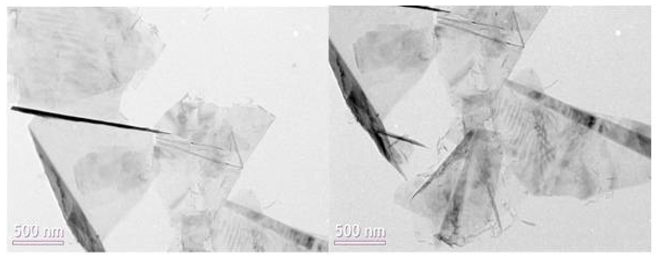 Metals 06 00234 g010