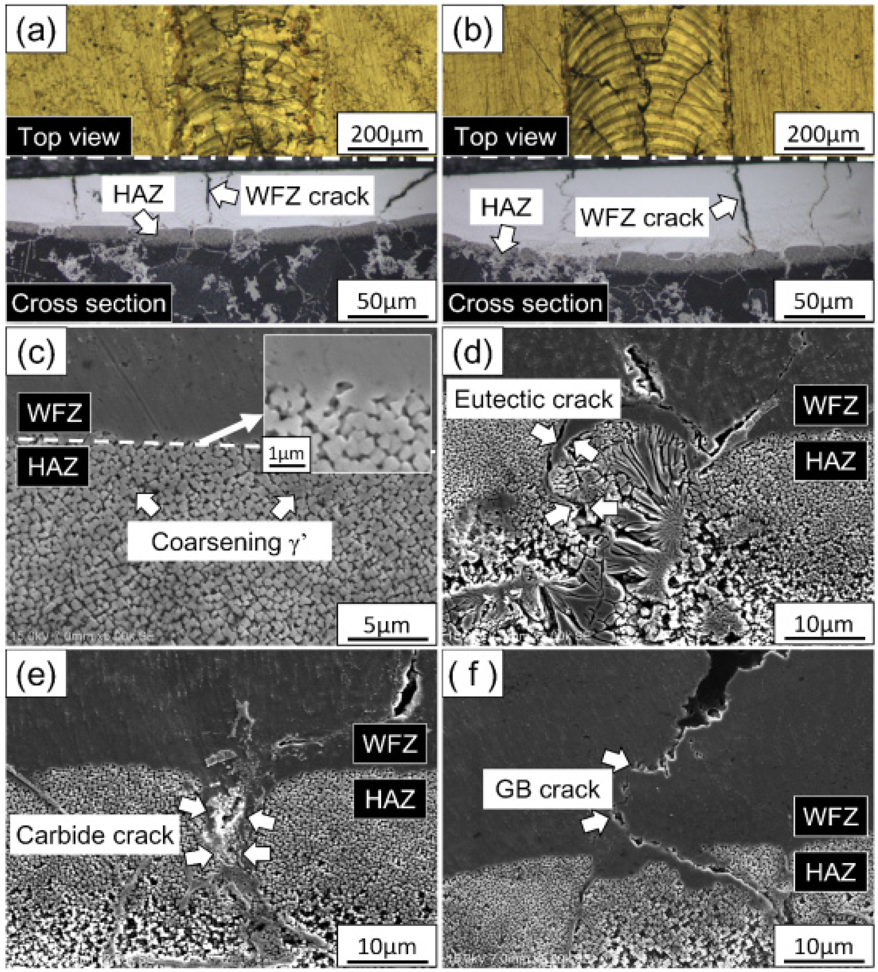 Metals 06 00238 g002