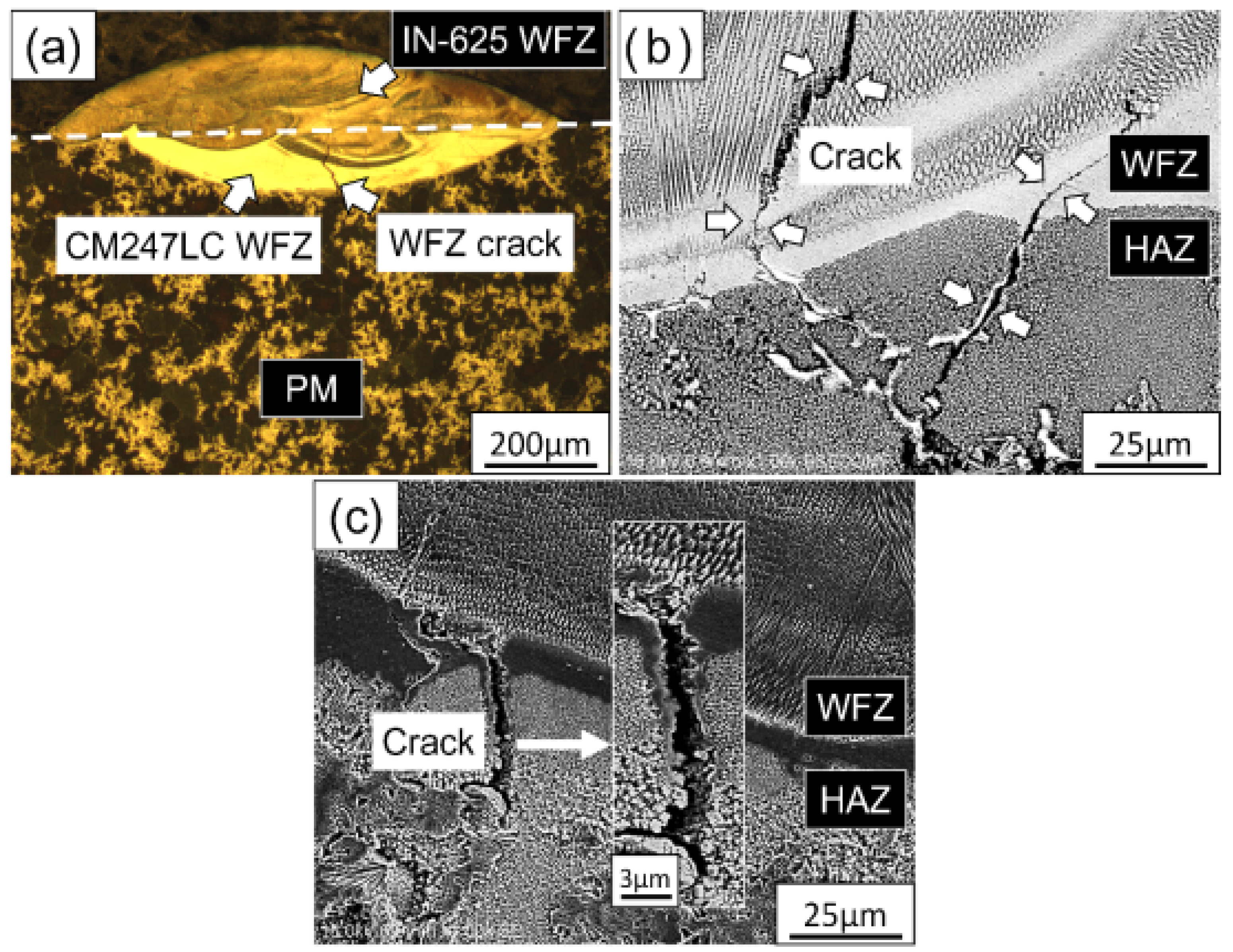 Metals 06 00238 g003