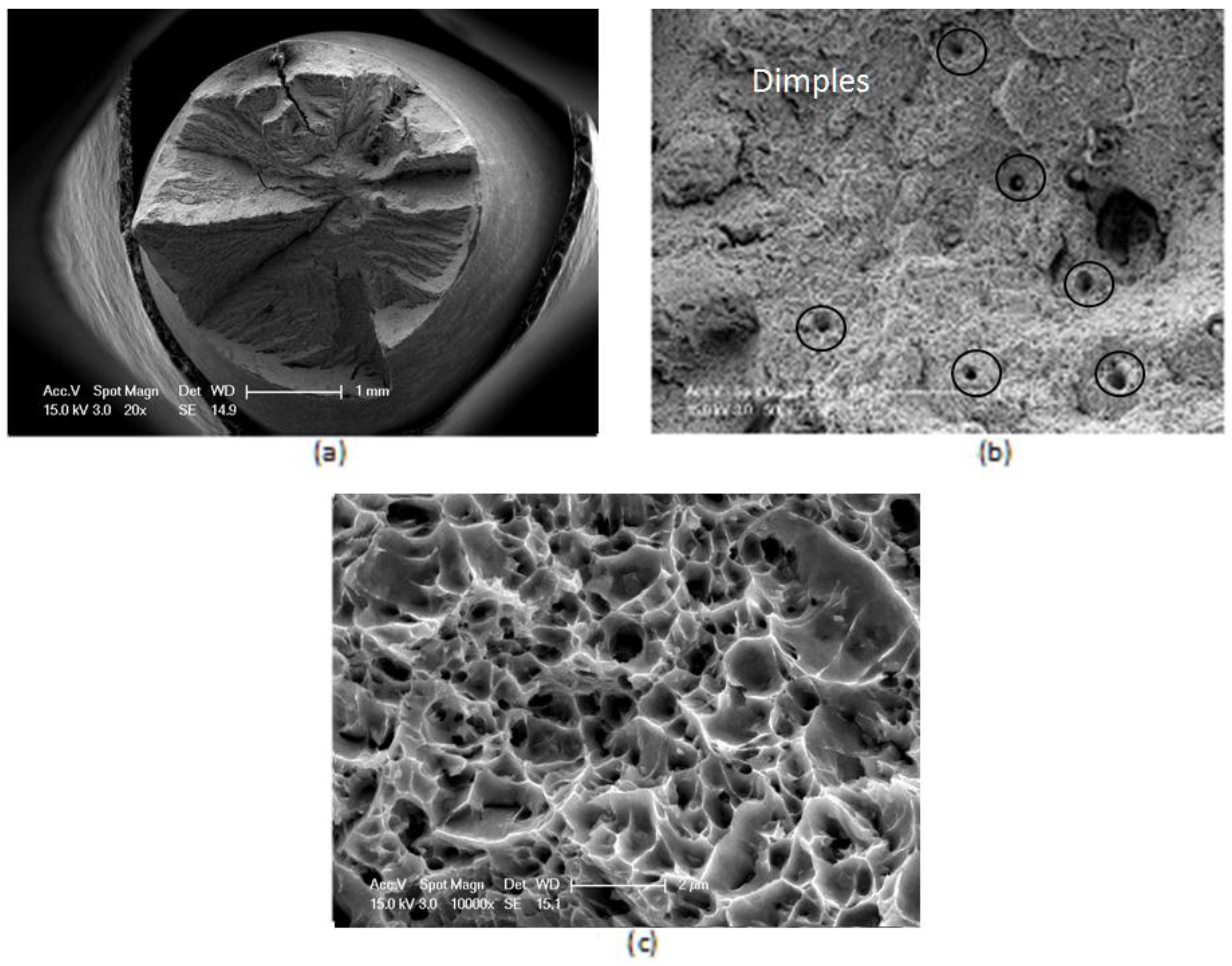 Metals 06 00242 g012