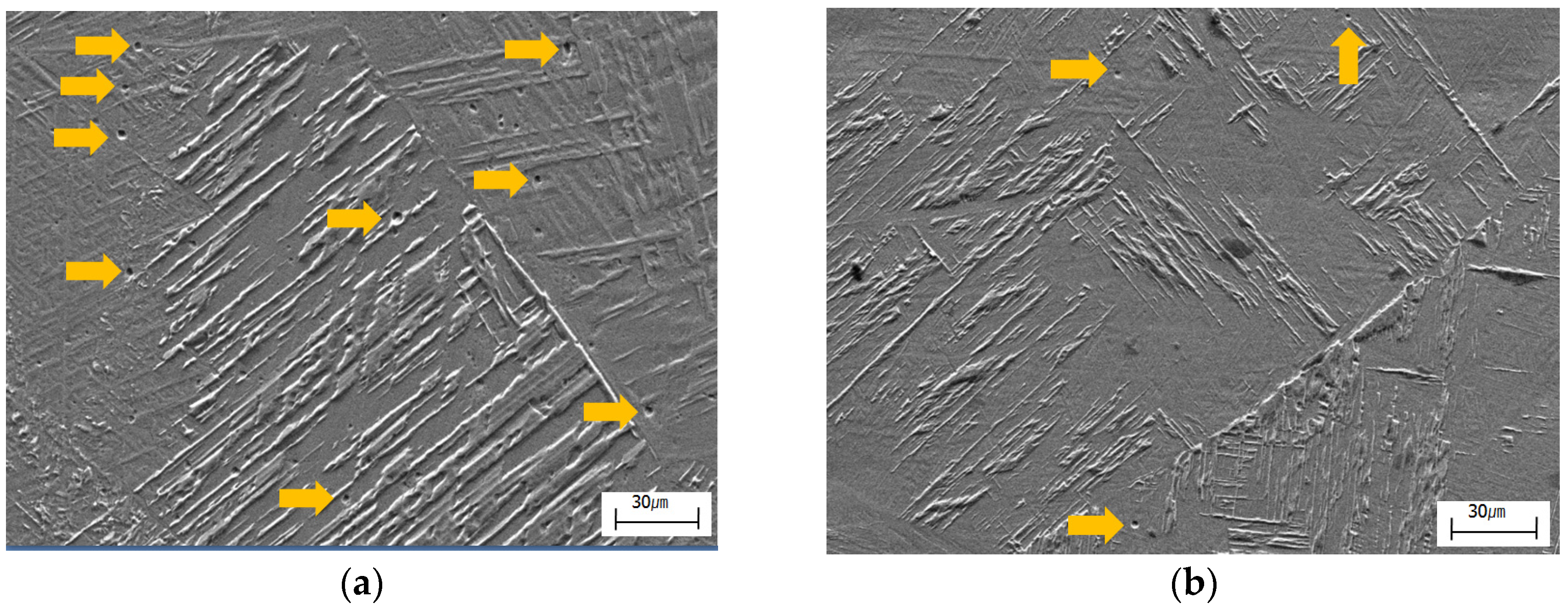 Metals 06 00243 g006