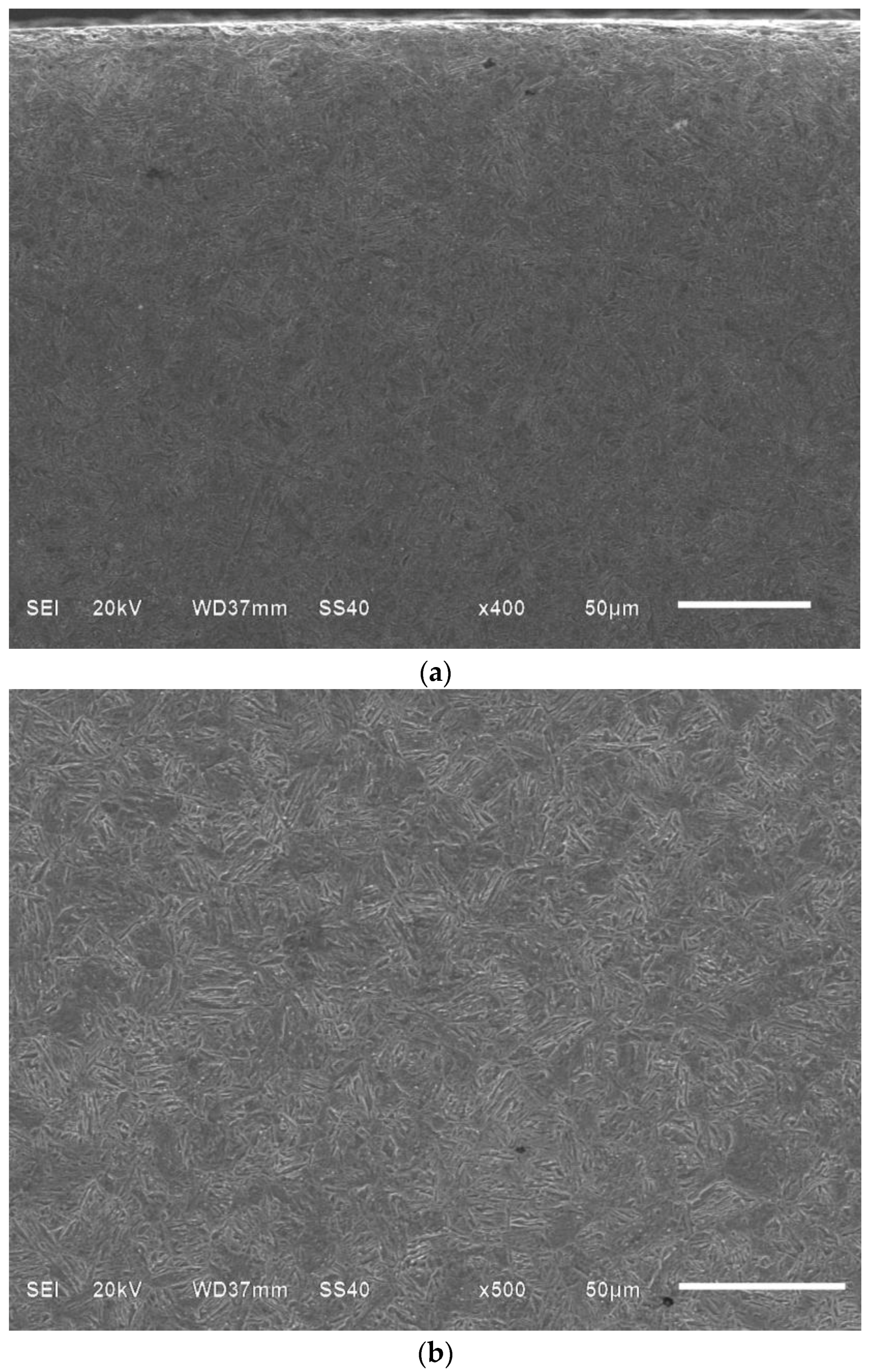 Metals 06 00246 g001