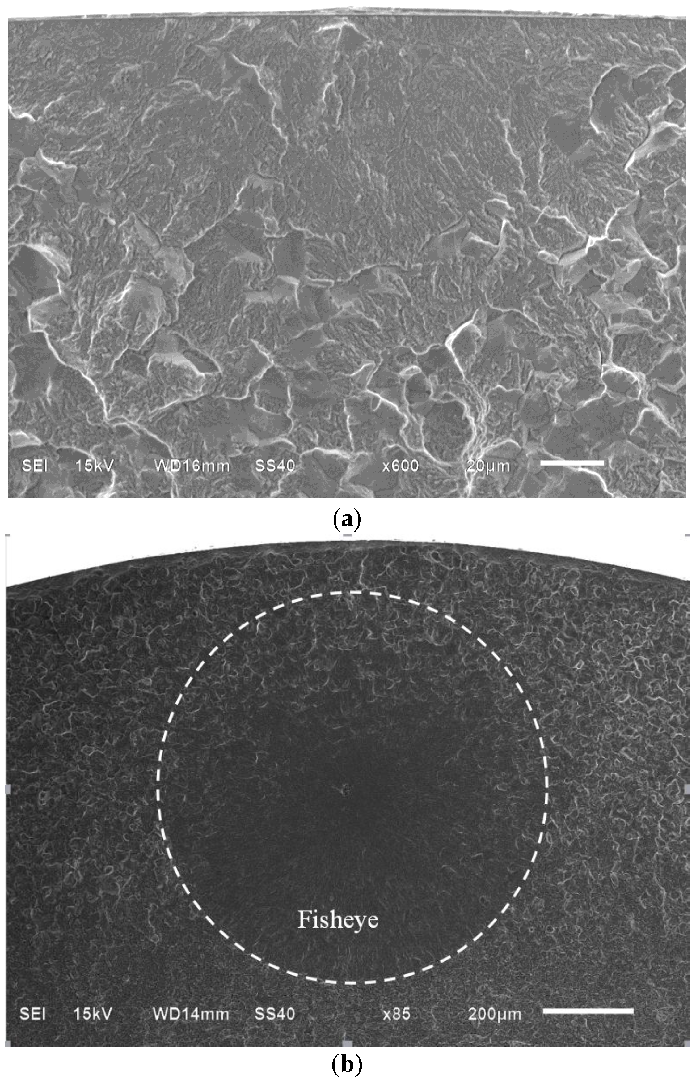 Metals 06 00246 g006a