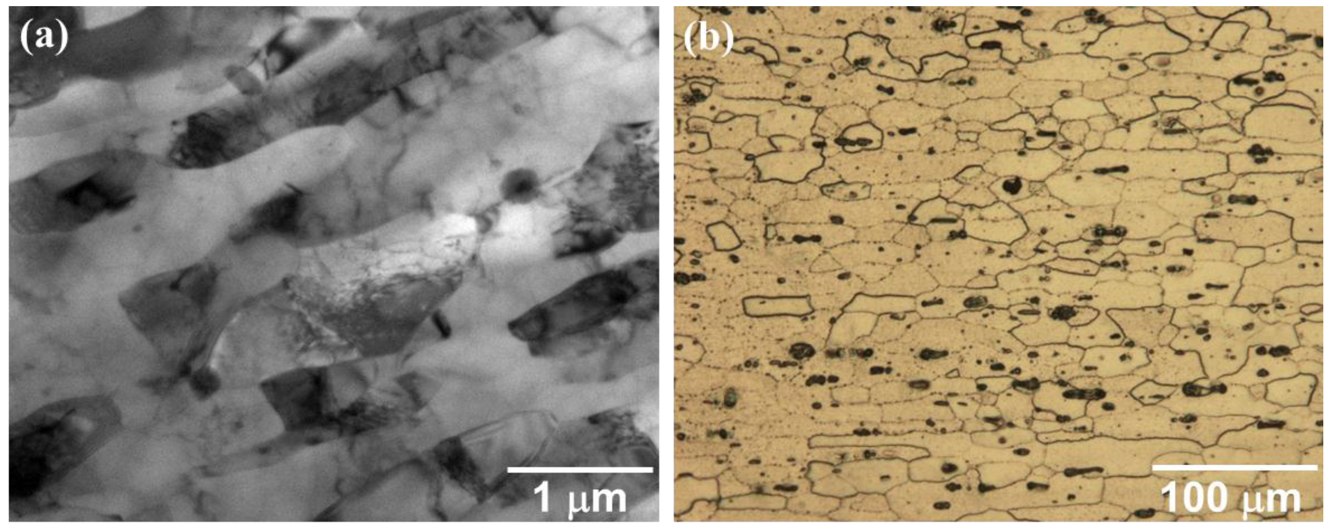 Metals 06 00249 g001