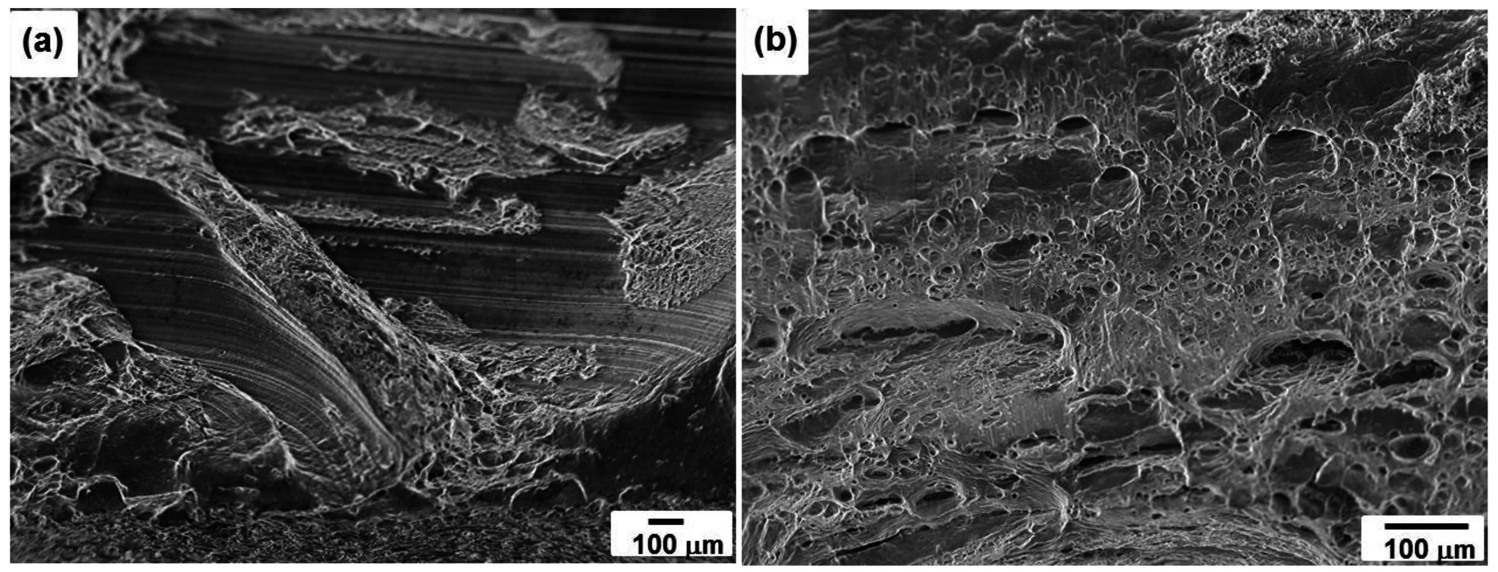 Metals 06 00249 g011