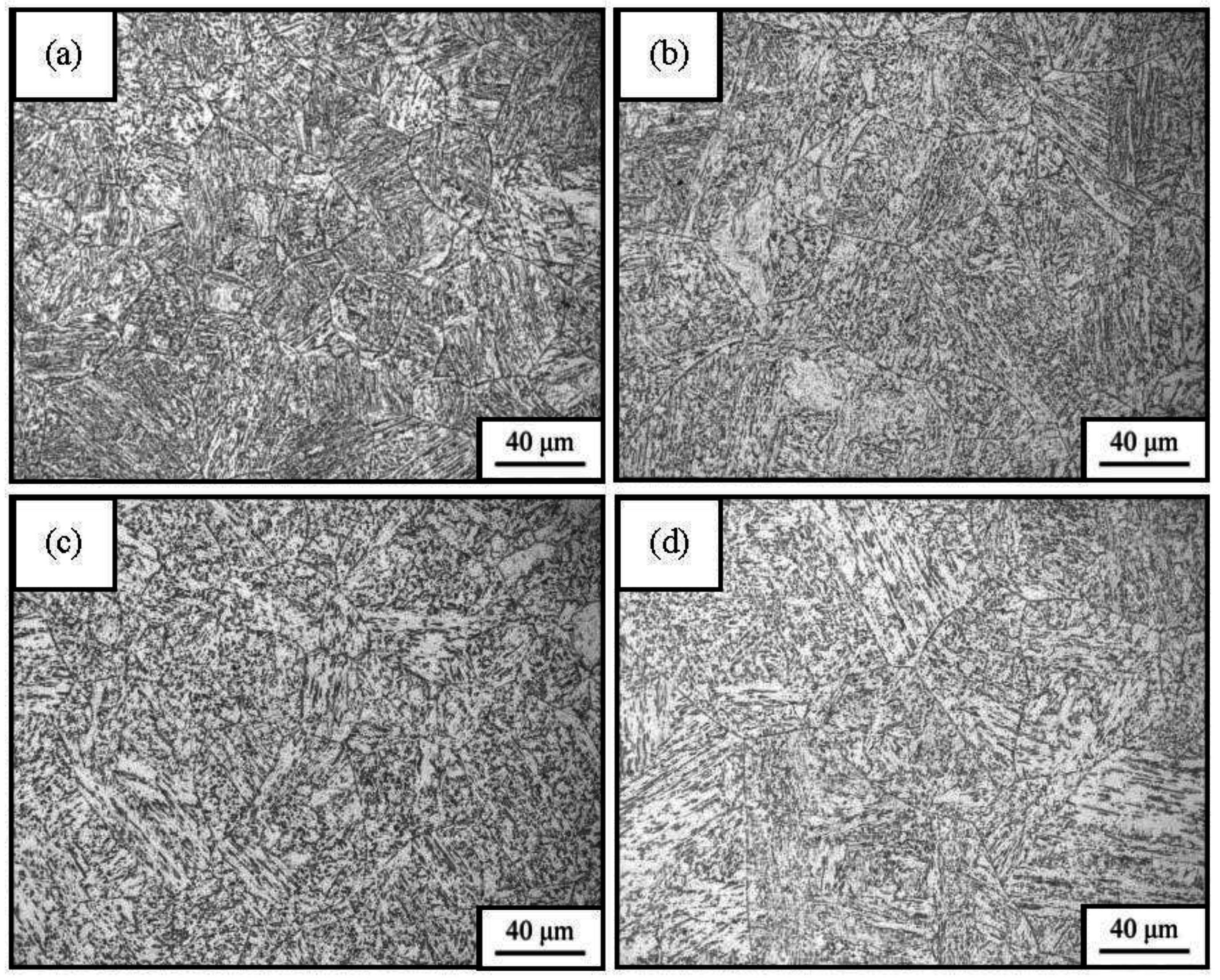 Metals 06 00256 g003