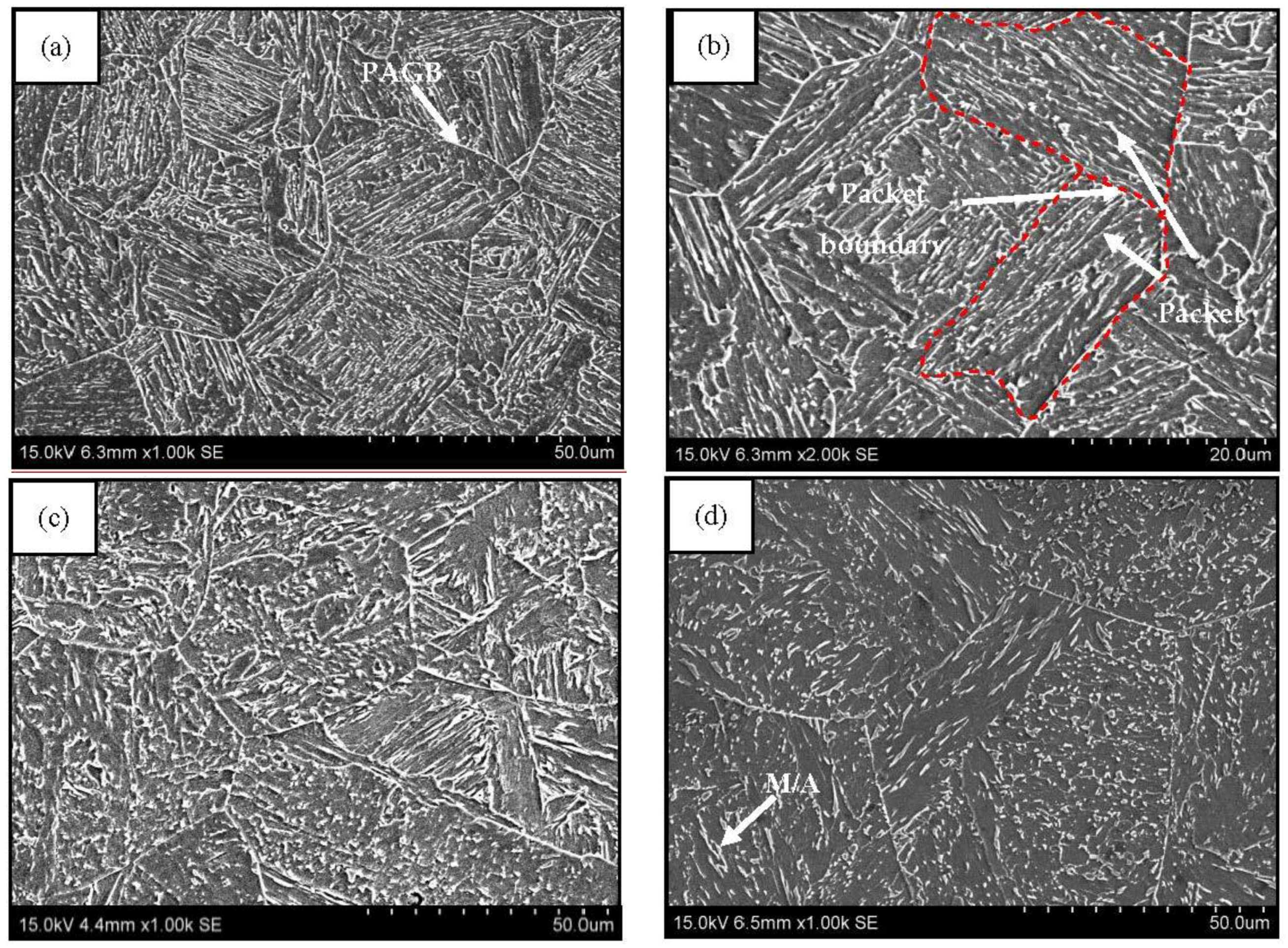 Metals 06 00256 g004